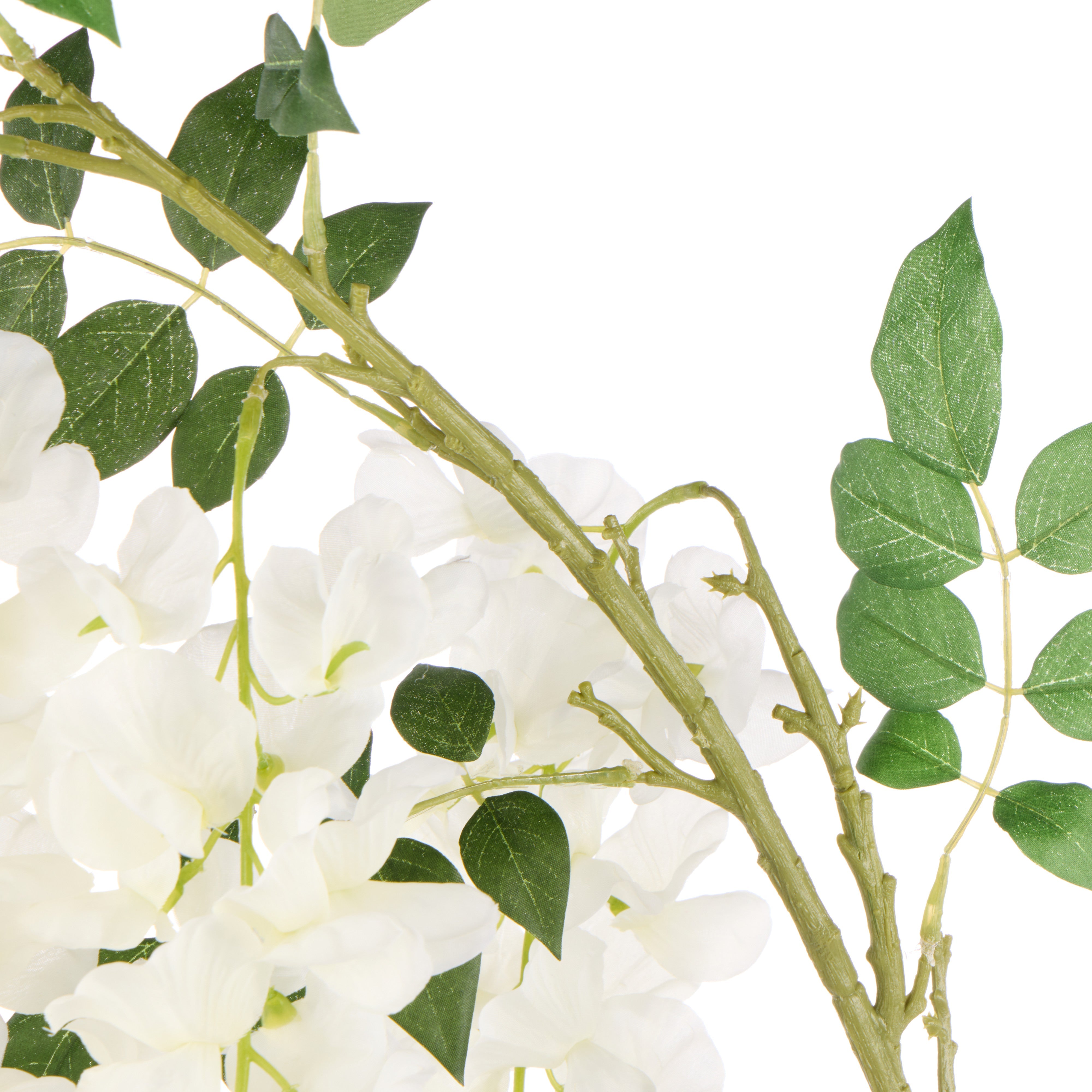 Rogue Wisteria Spray White