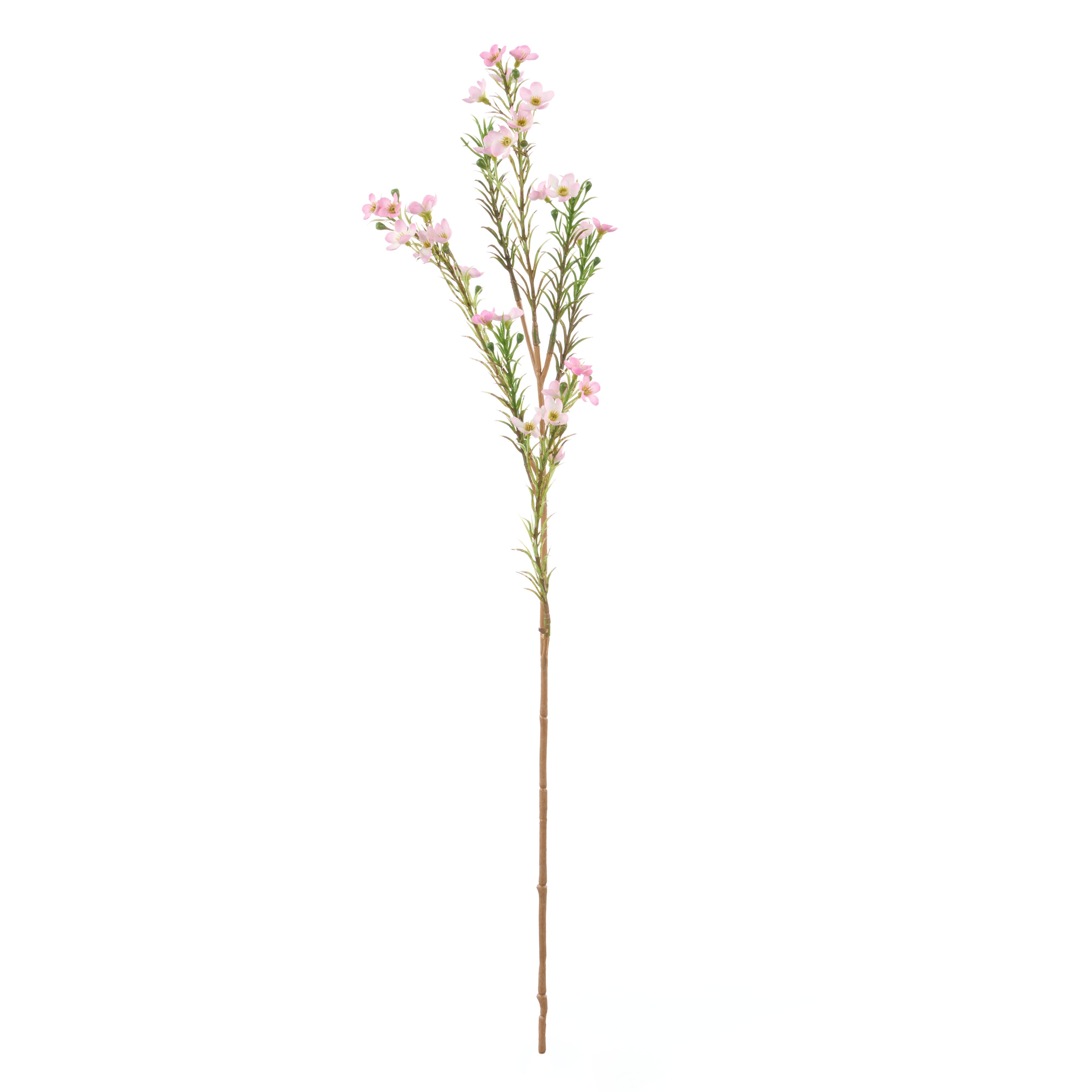 Rogue Wax Flower Spray Pink