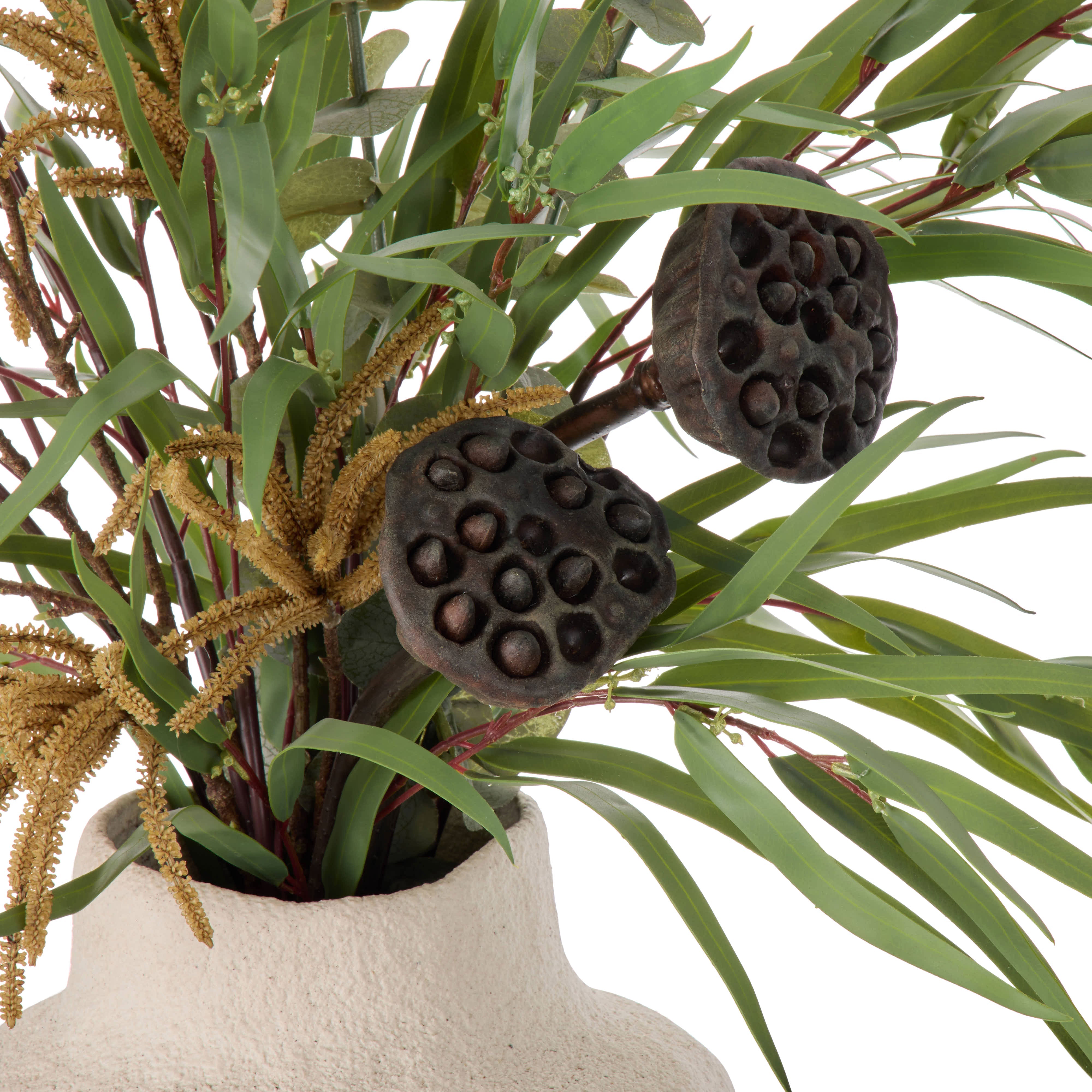 Rogue Lotus Pod Catkins Mix-Ryde Brown 80cm