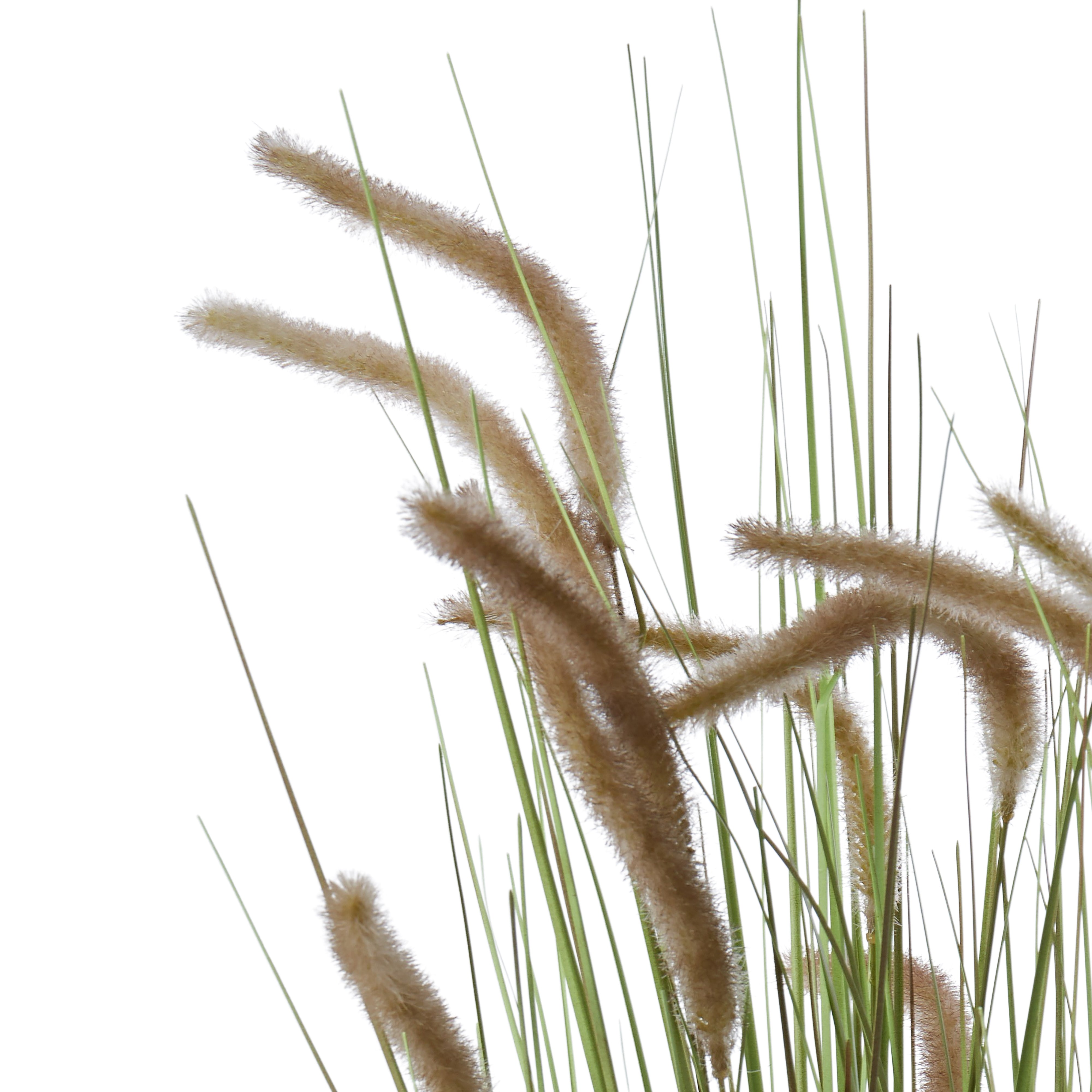 Rogue Grass Plant 120cm