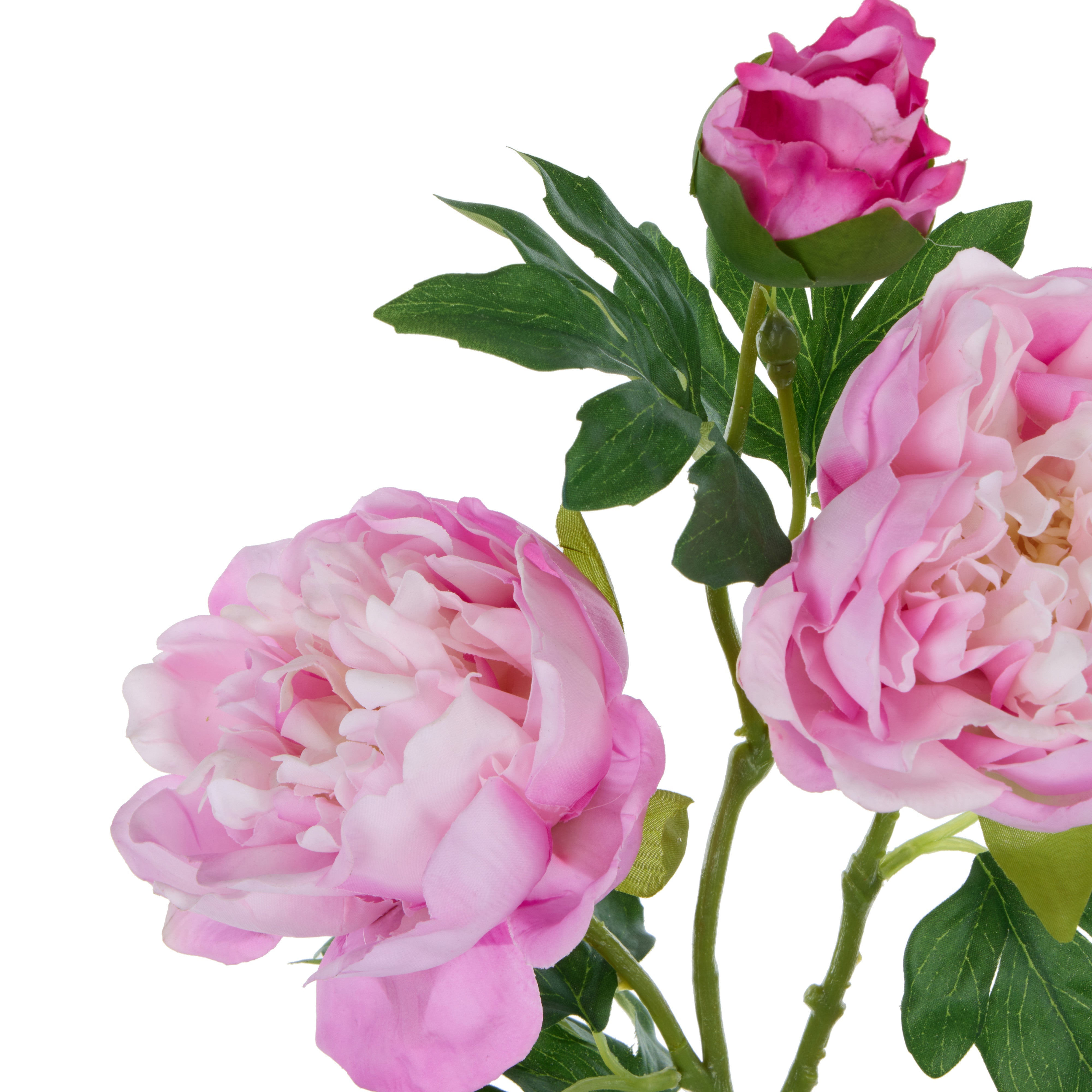 Rogue Peony Spray Real Touch Pink