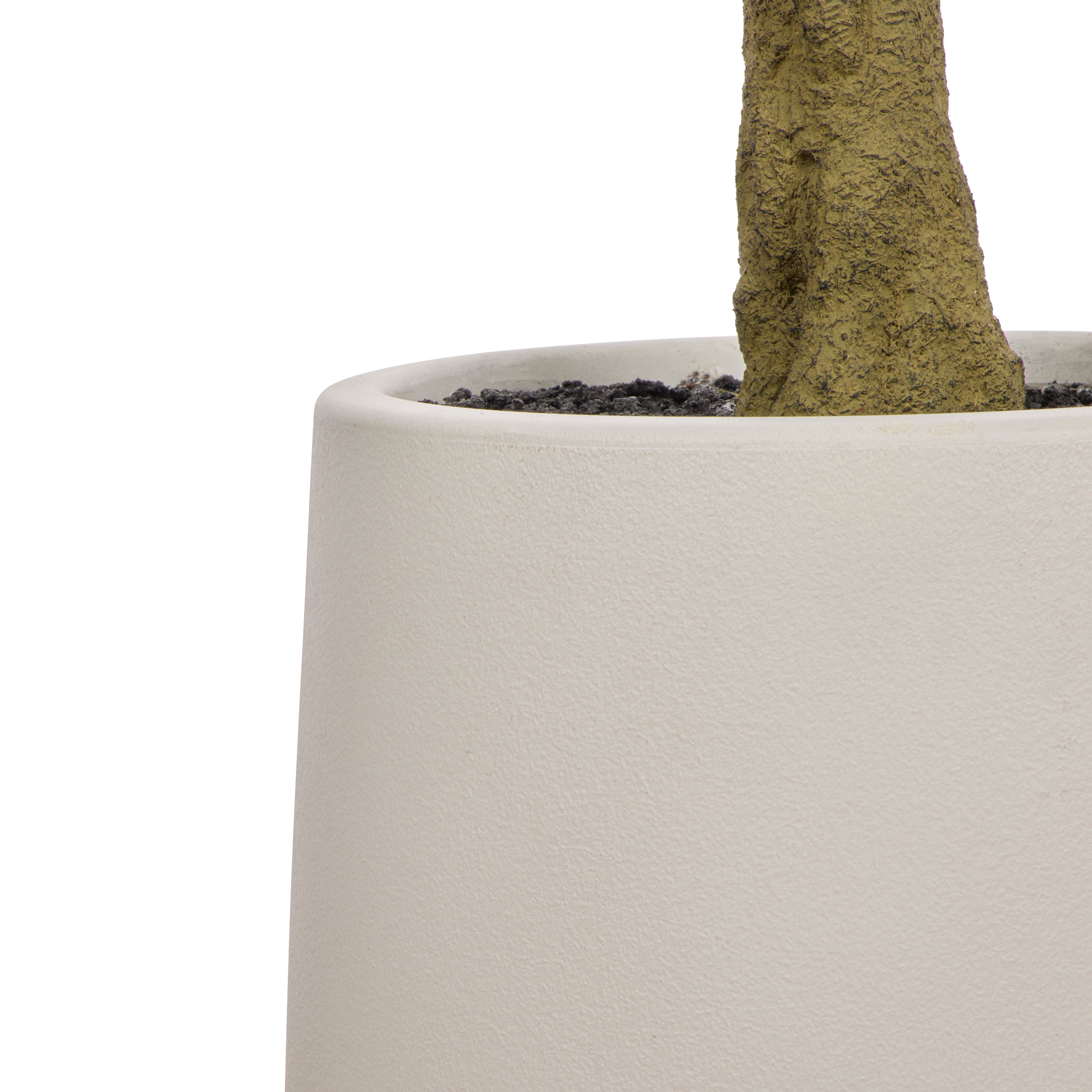 Rogue Ficus Tree Pot Green 180cm