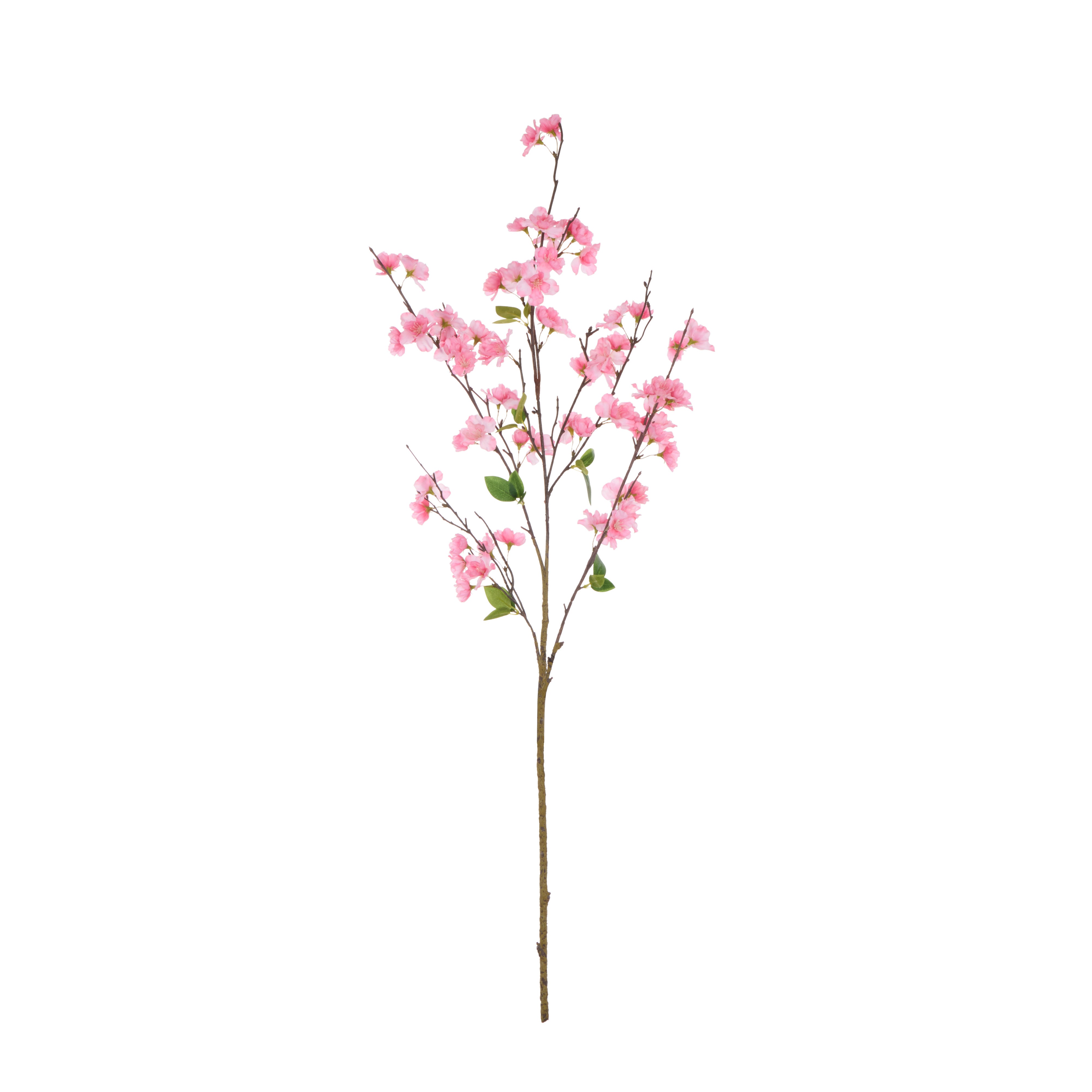 Rogue Cherry Blossom Spray Pink