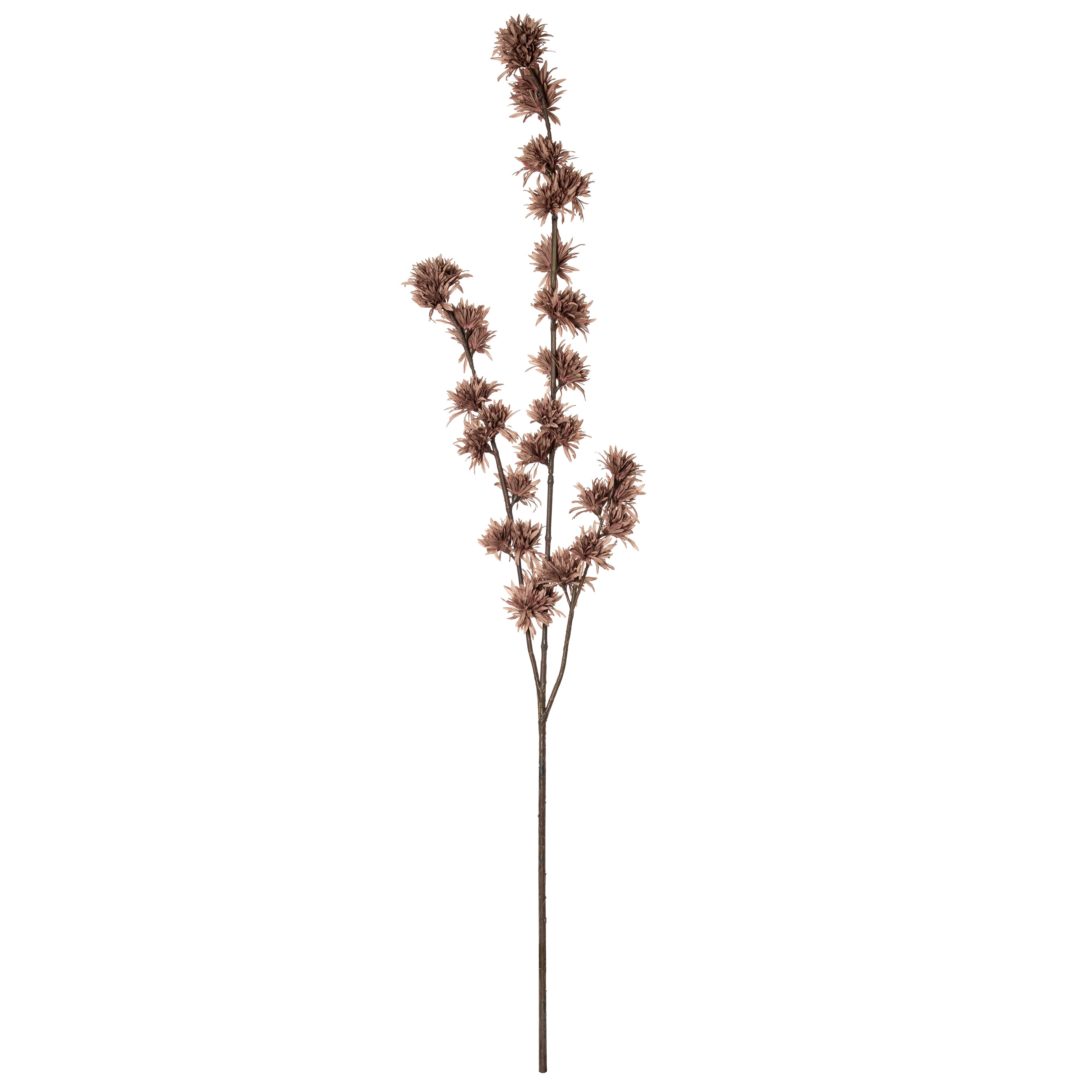 Rogue Deco Witch Hazel Spray
