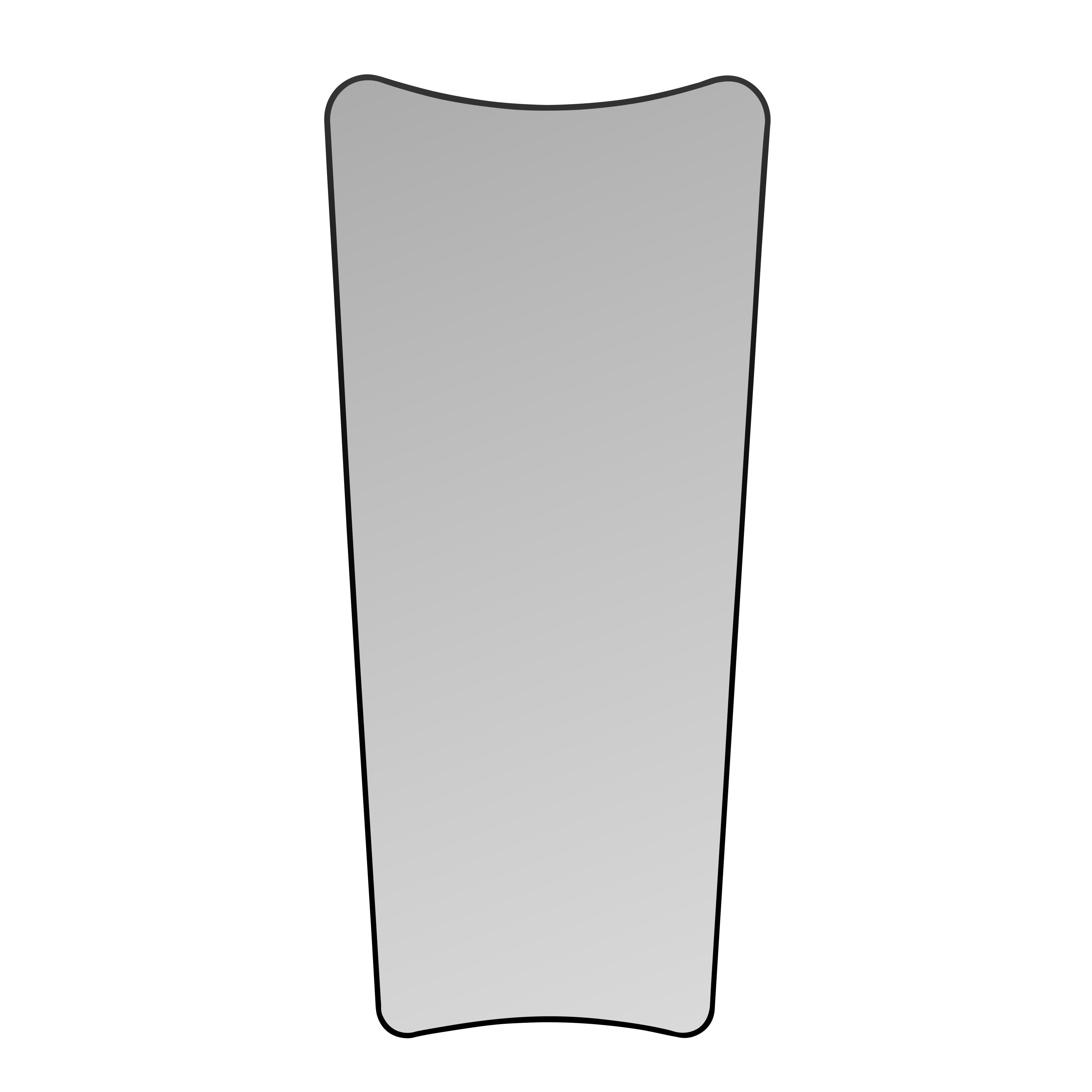 Amalfi Zane Black Metal Floor Mirror Black
