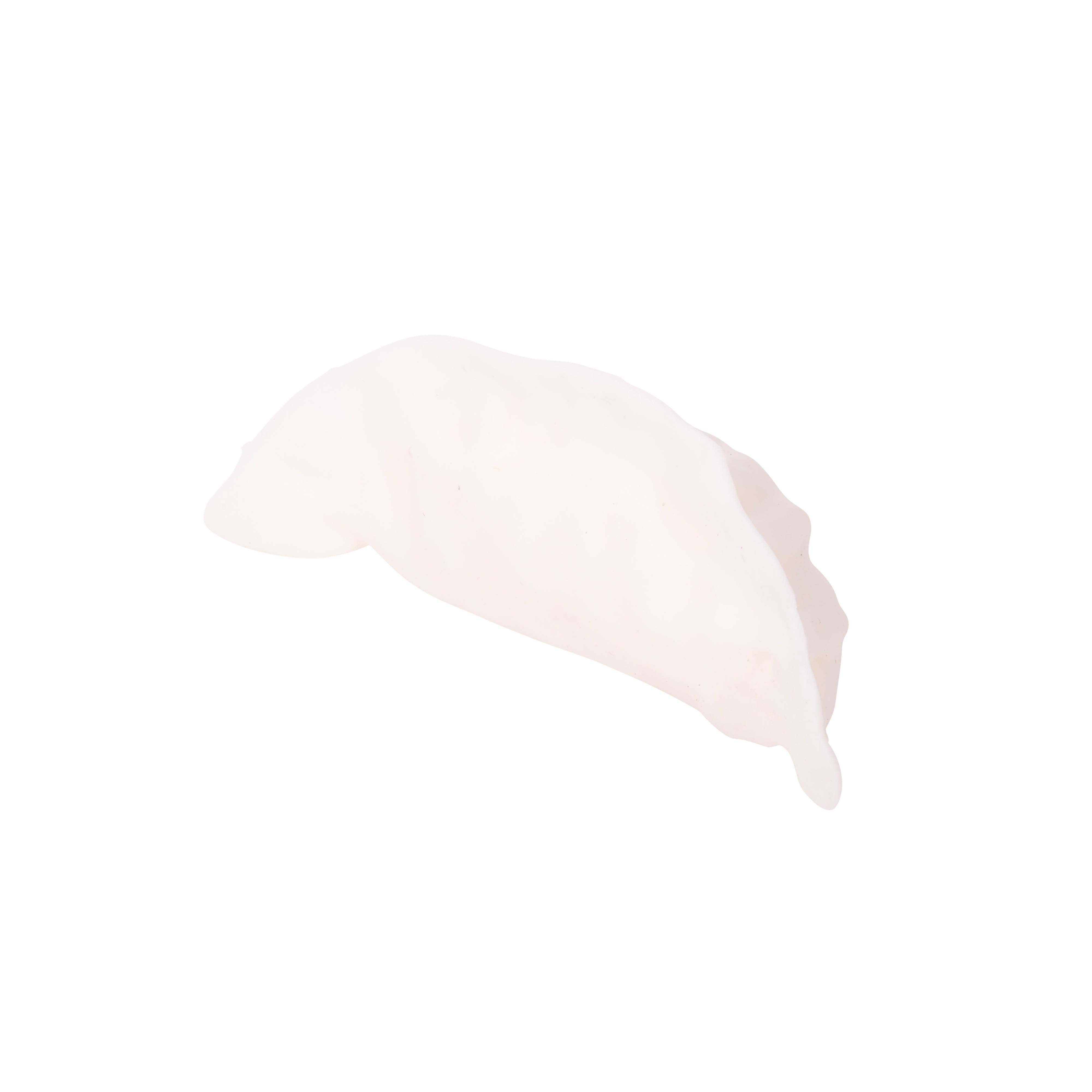 Discovery Zone Squishy Gyoza 3 Piece Set