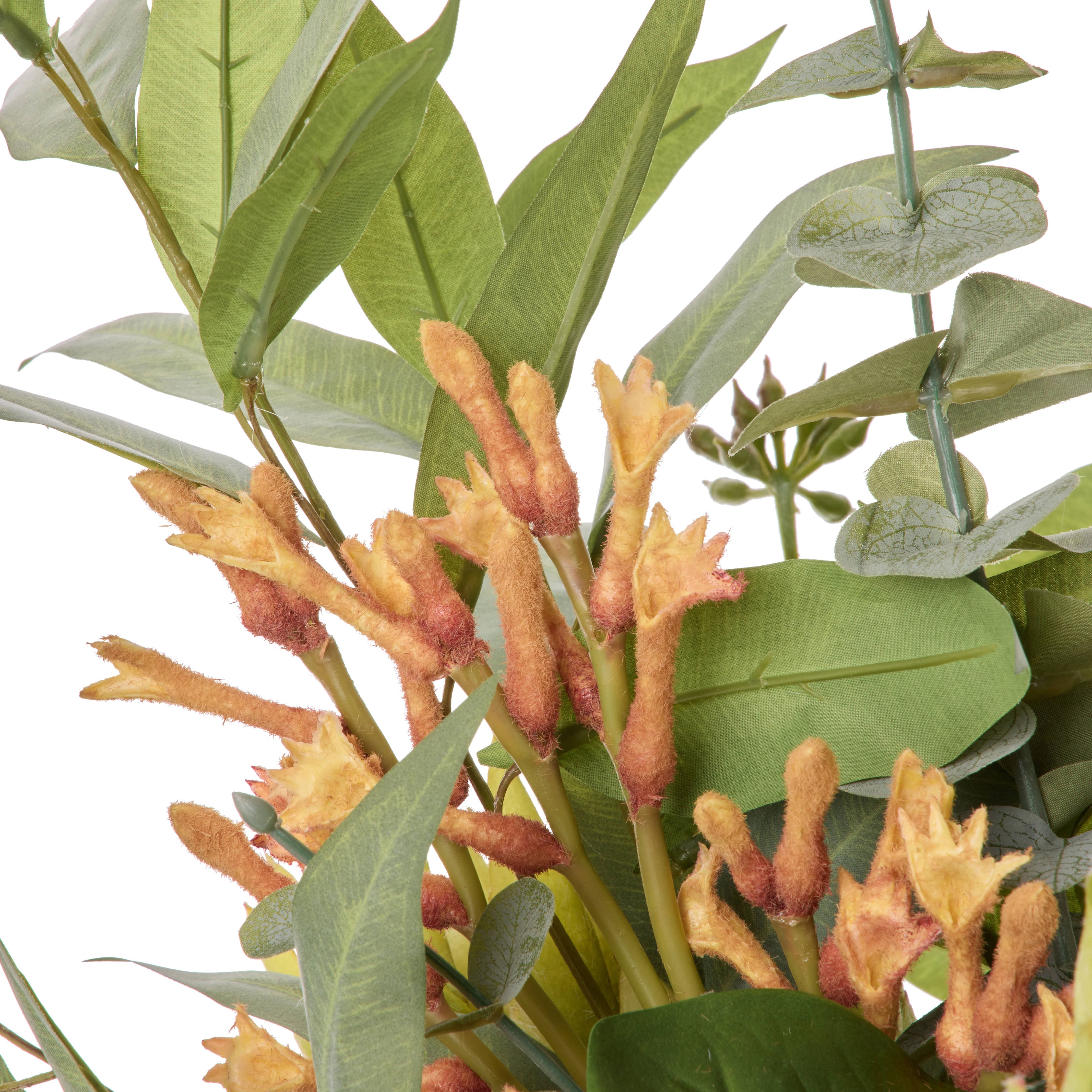 Rogue Protea Kangaroo Paw - Claire Green & Orange 68cm
