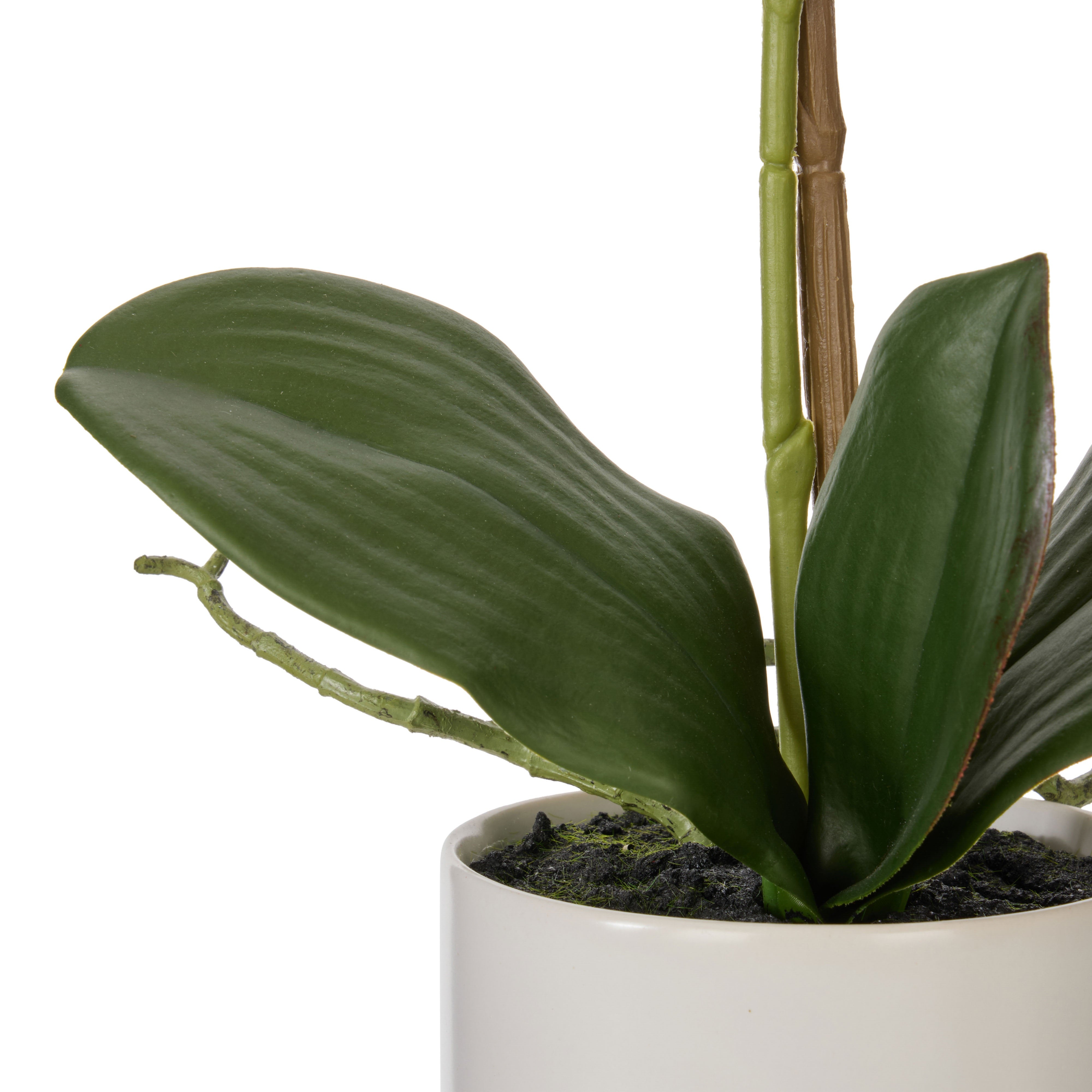 Rogue Phalaenopsis Orchid Pot White 44cm