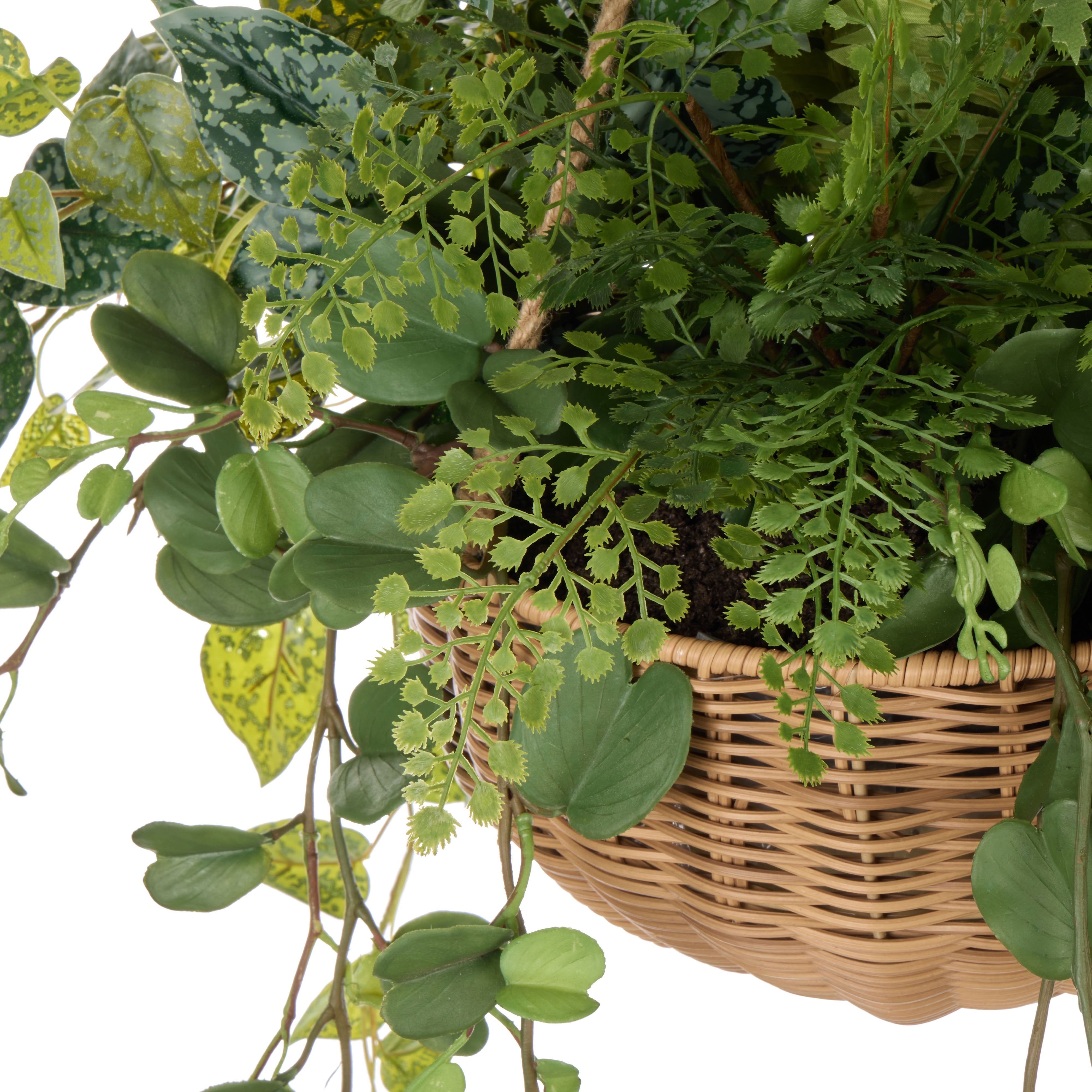 Rogue Fern Garden Mix - Laos Hanging 126cm