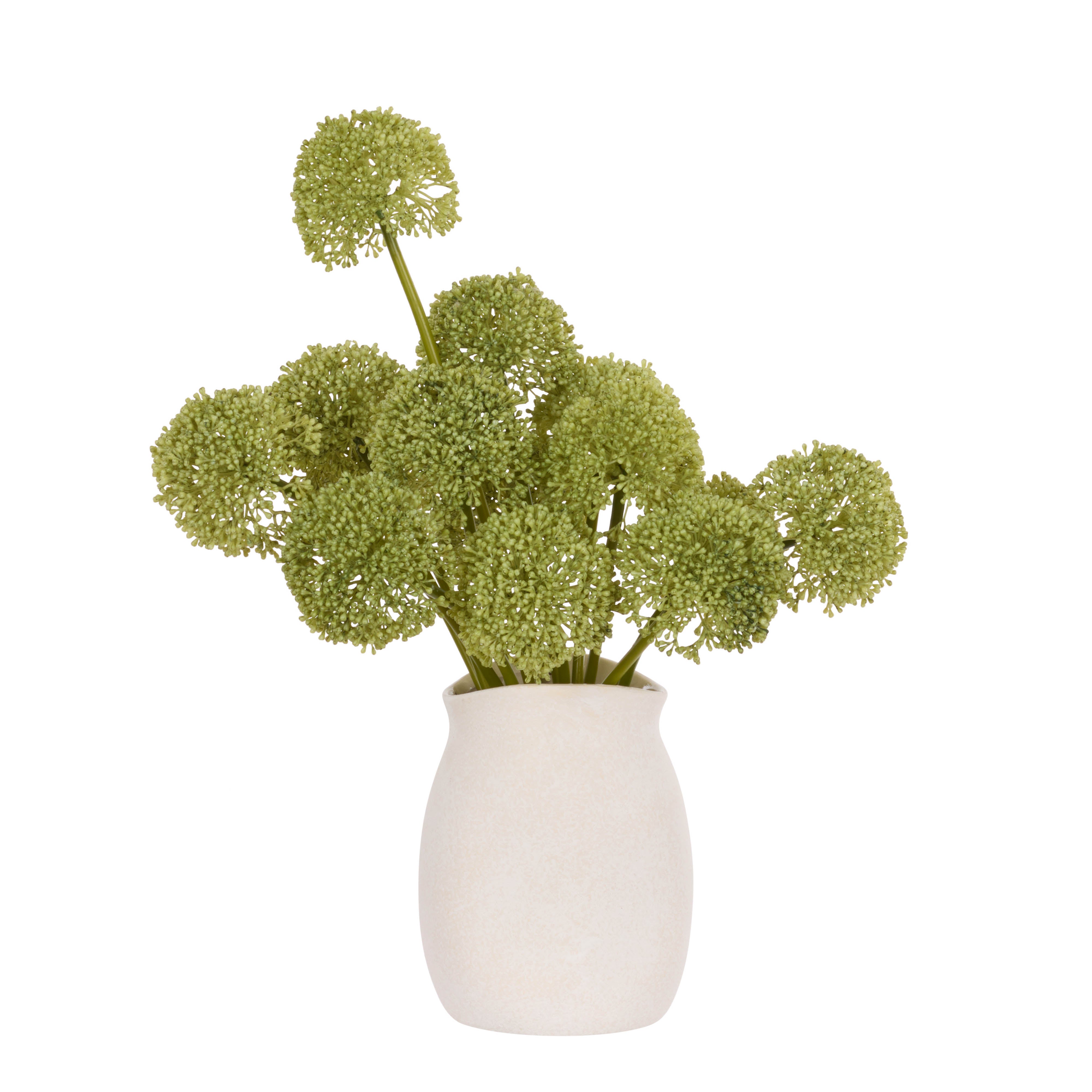 Rogue Buddleia - Maliah Pot