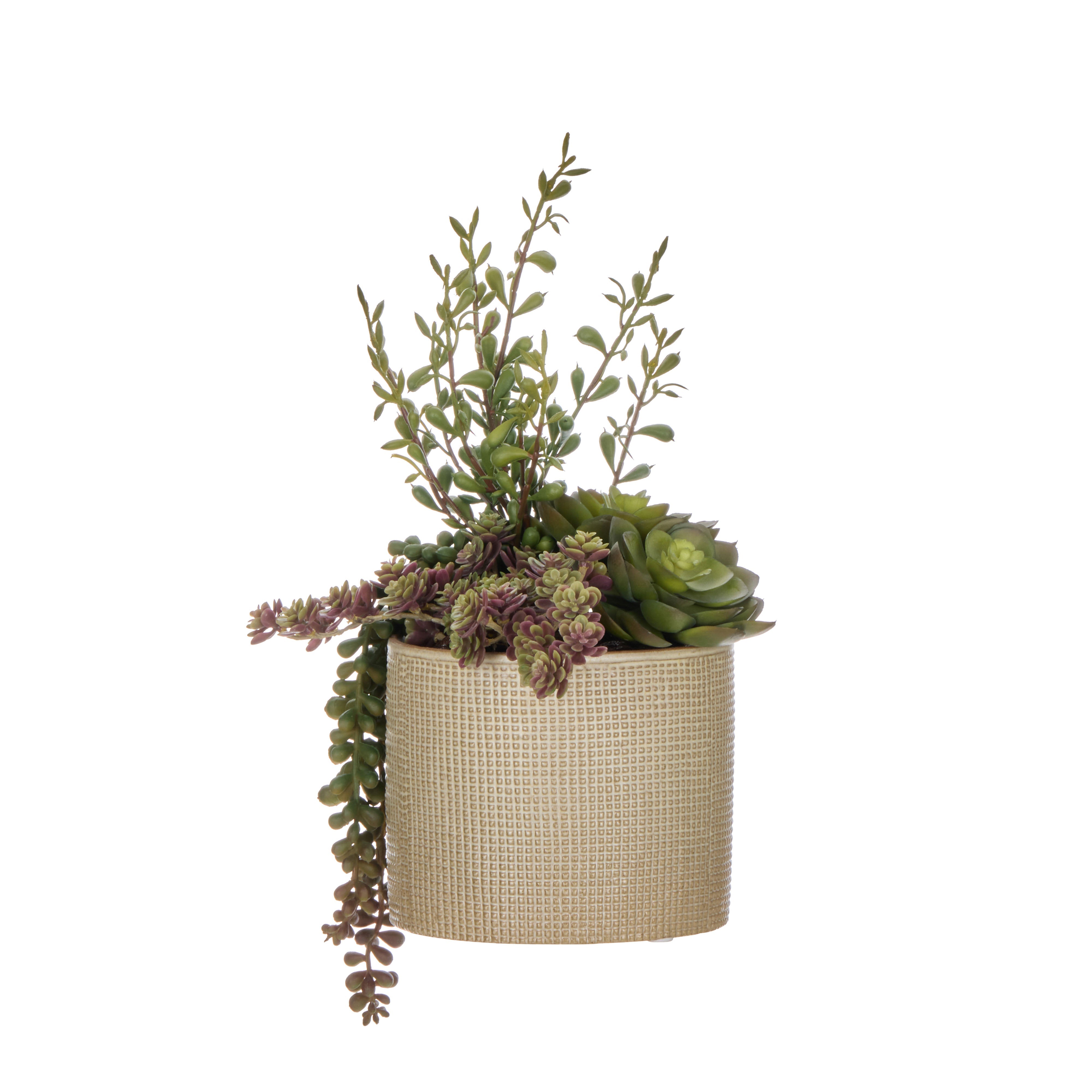 Rogue Succulent Garden - Reims Green & Burgundy 32cm