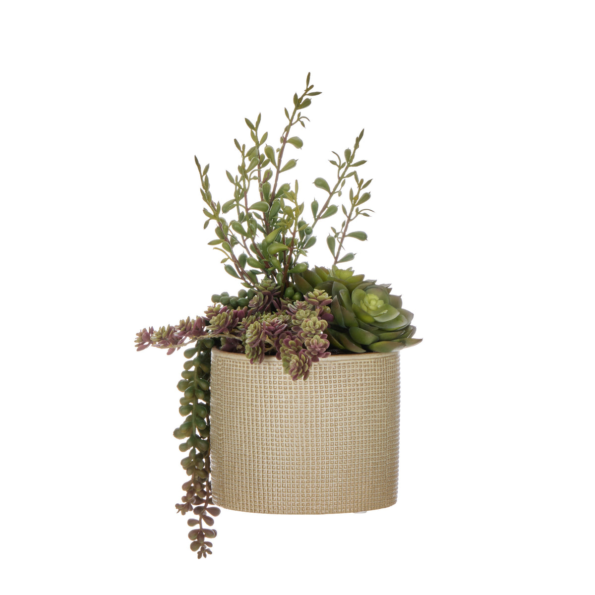 Rogue Succulent Garden - Reims Green & Burgundy 32cm