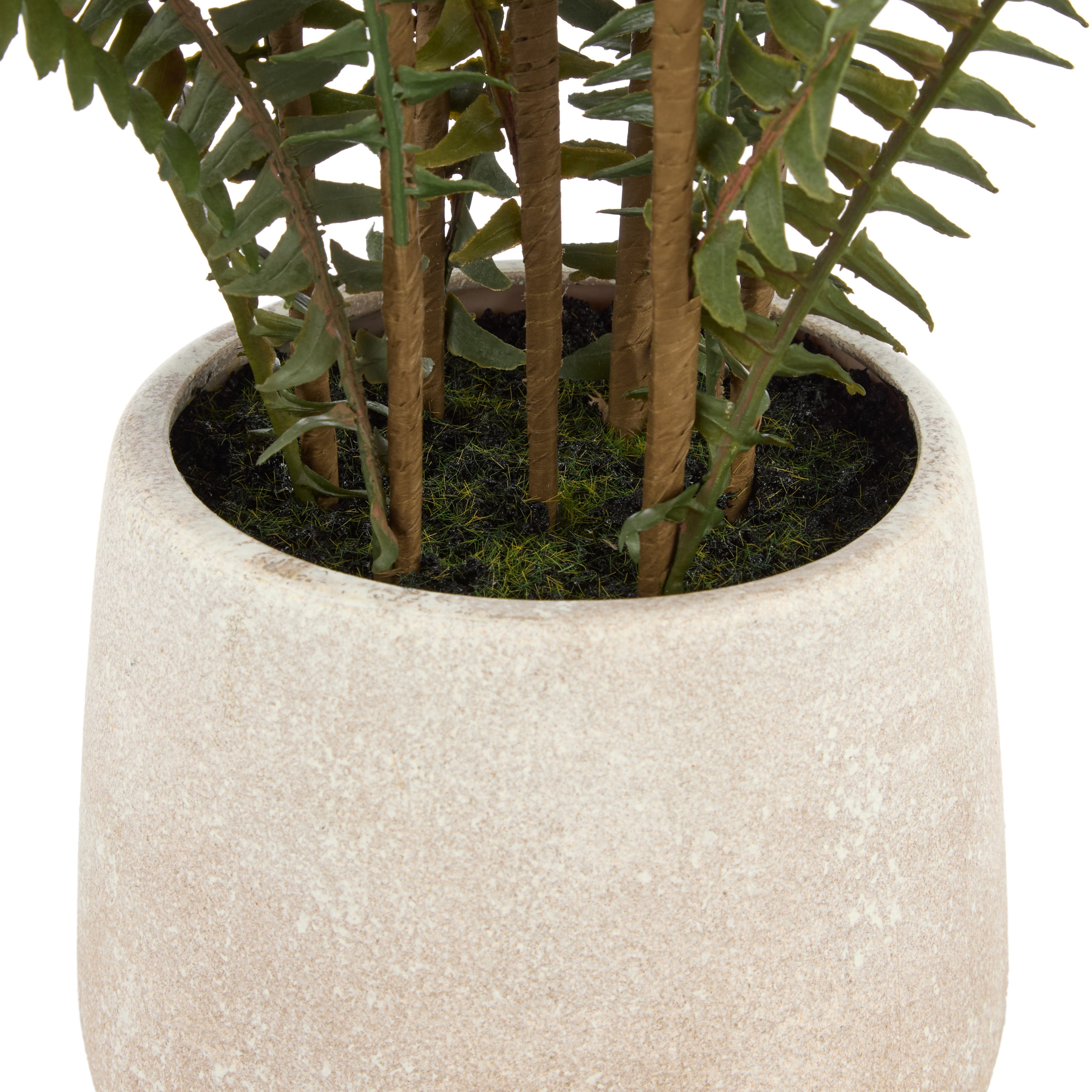 Rogue Boston Fern Pot 71cm