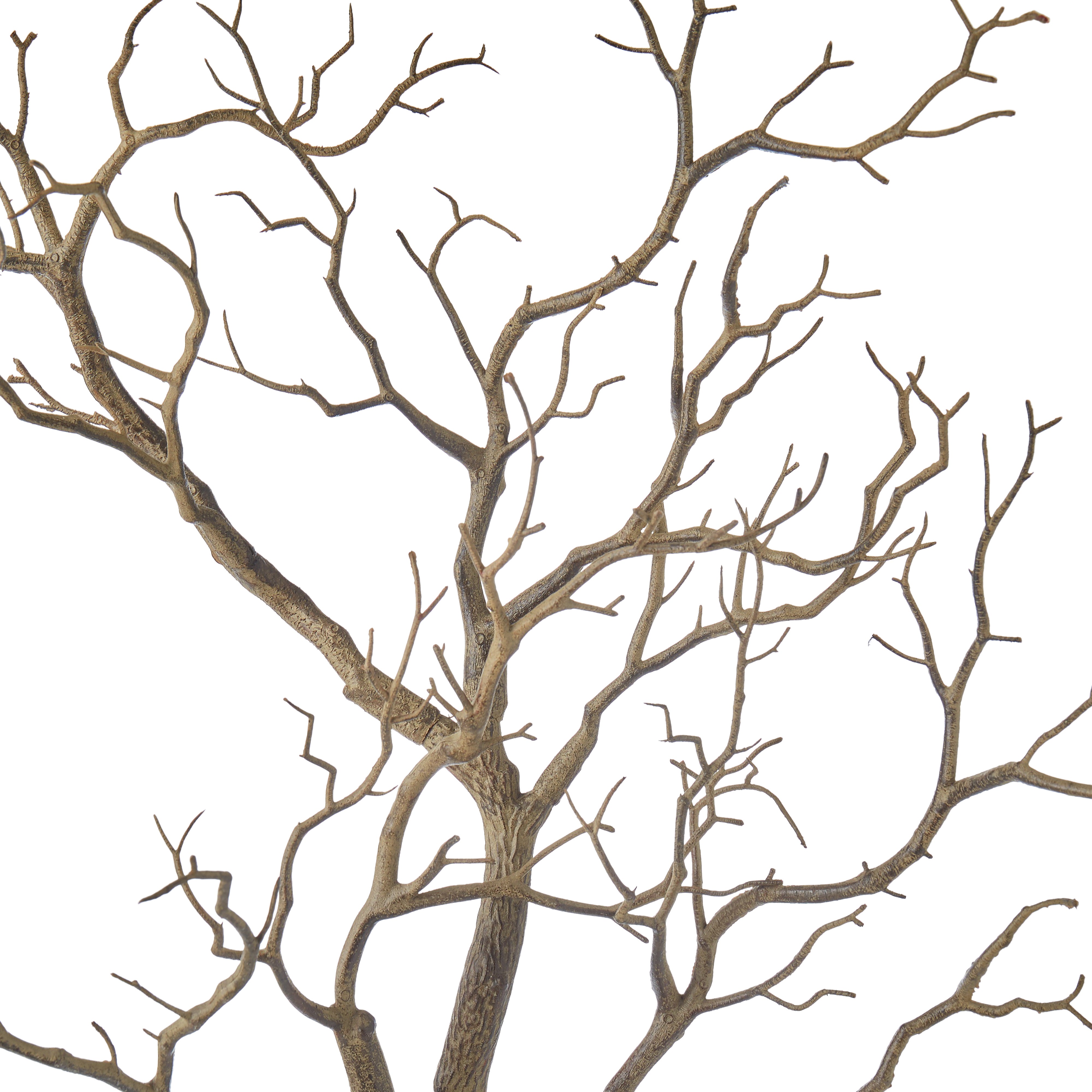 Rogue Single Try Branch