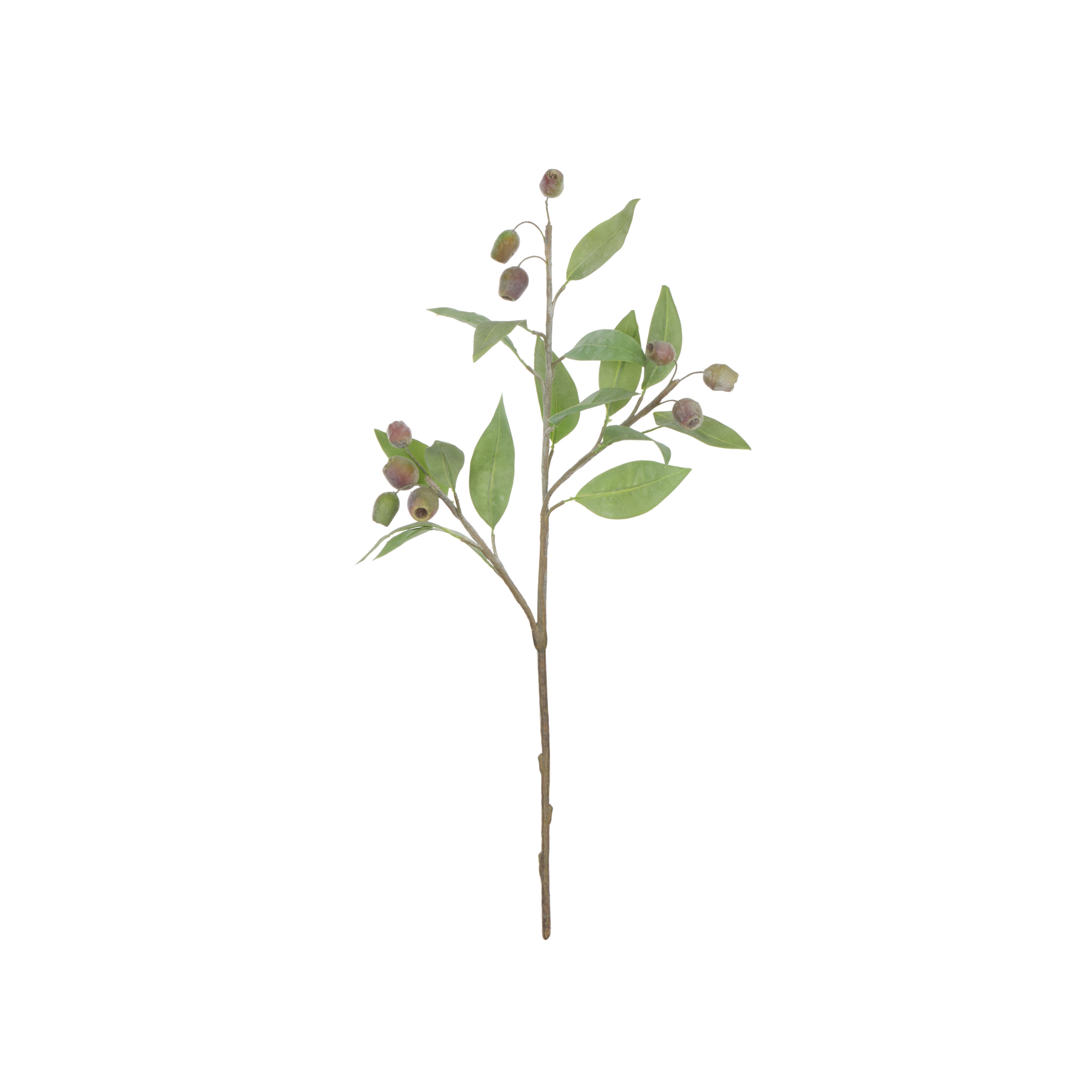Rogue Eucalyptus Gumnut Spray 67cm