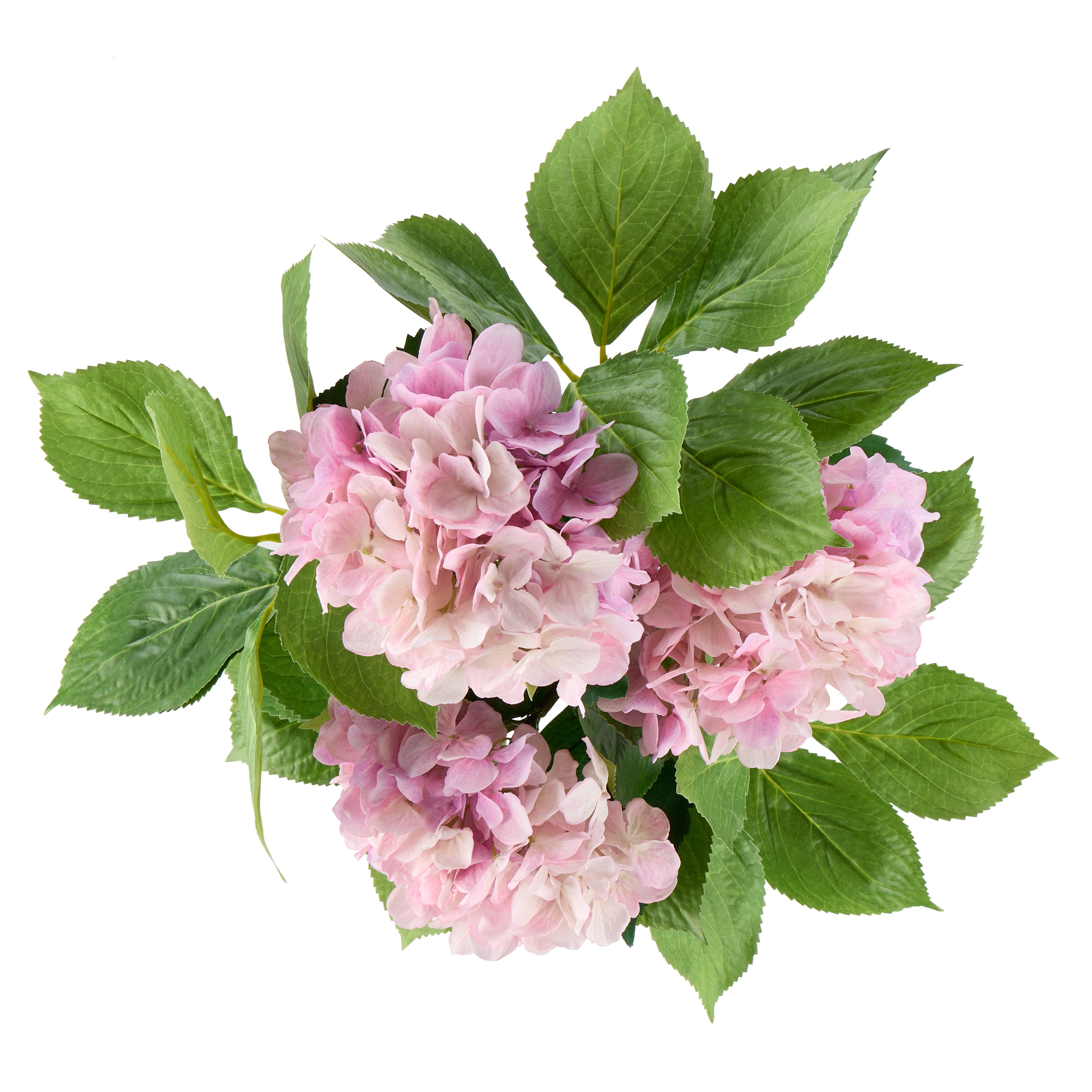 Rogue Hydrangea Vivid Leaf Bouquet Pink