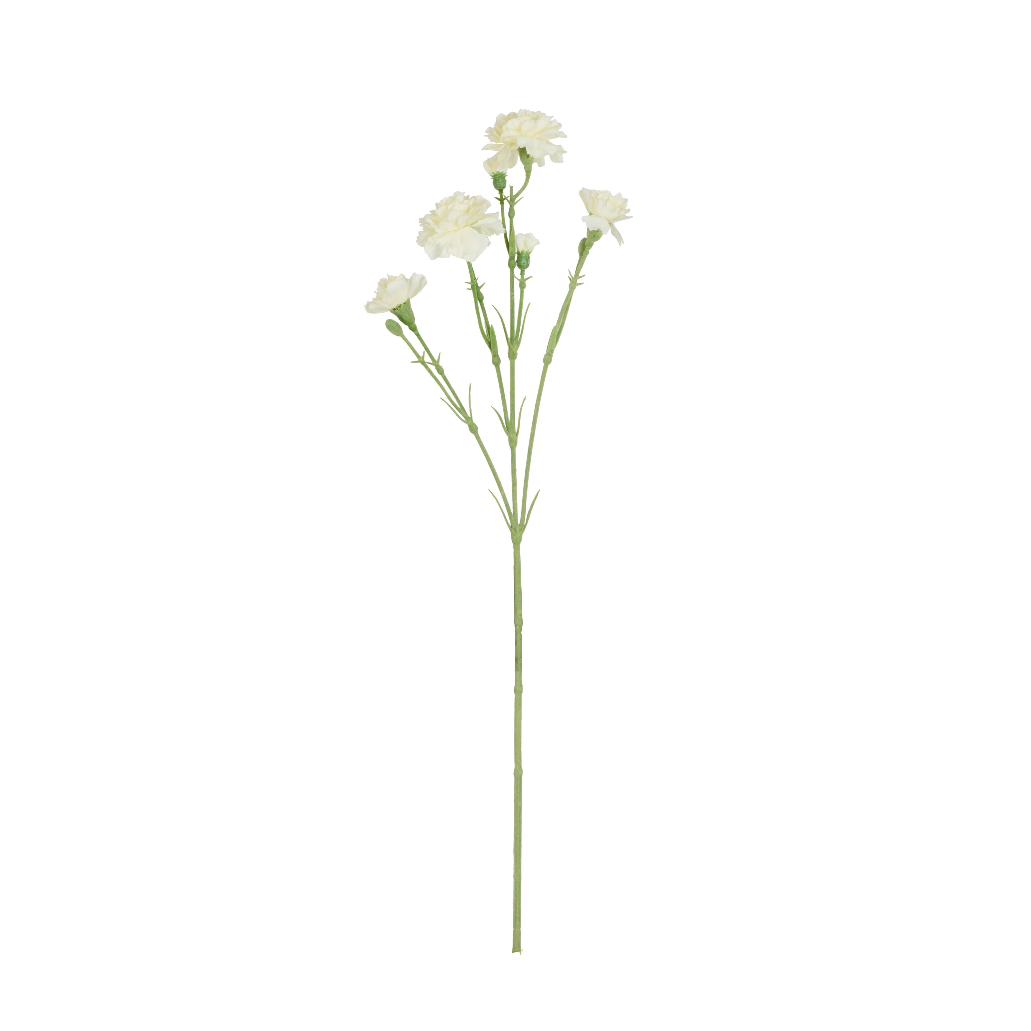 Rogue Carnation Spray Ivory