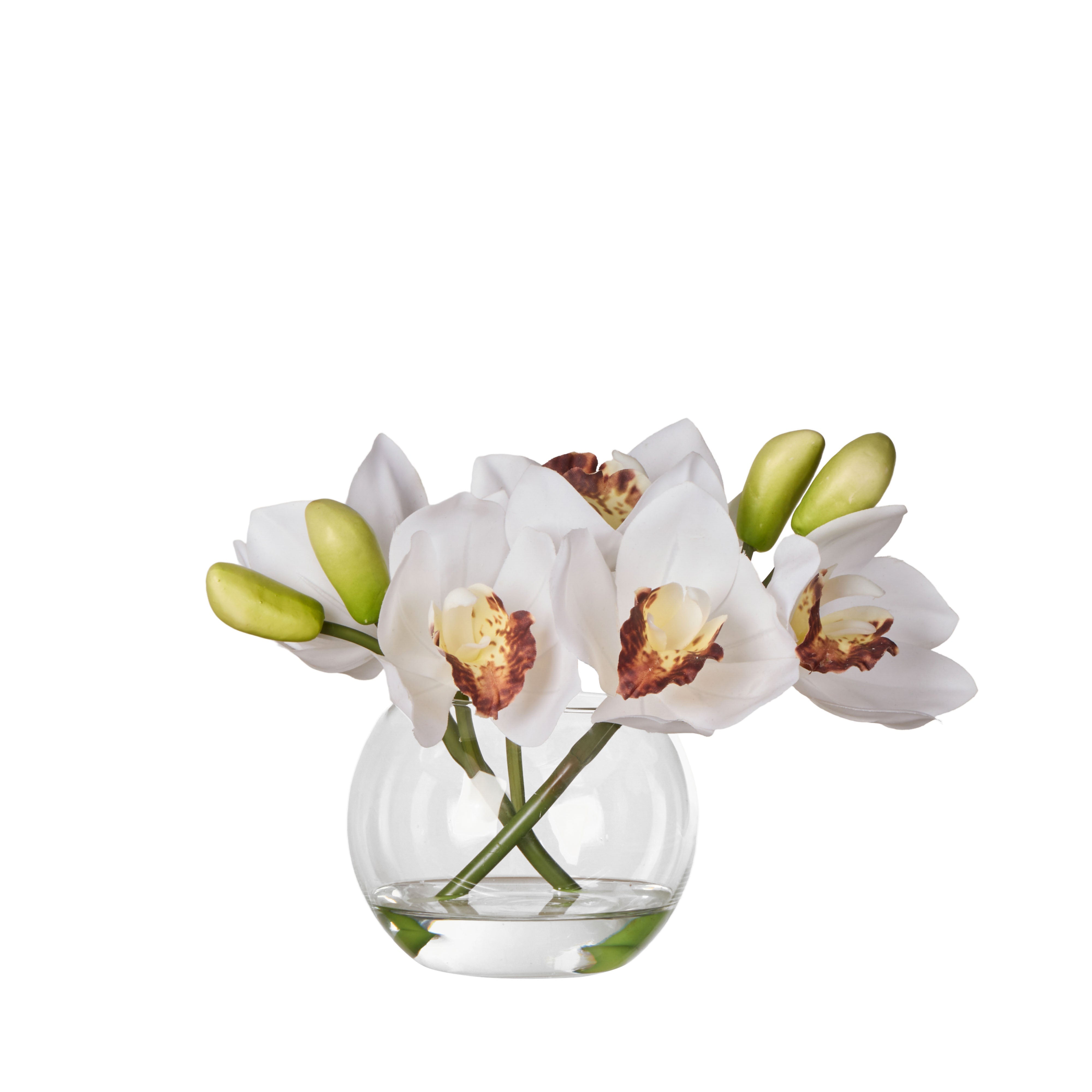 Rogue Cymbidium Orchid & Glass Vase