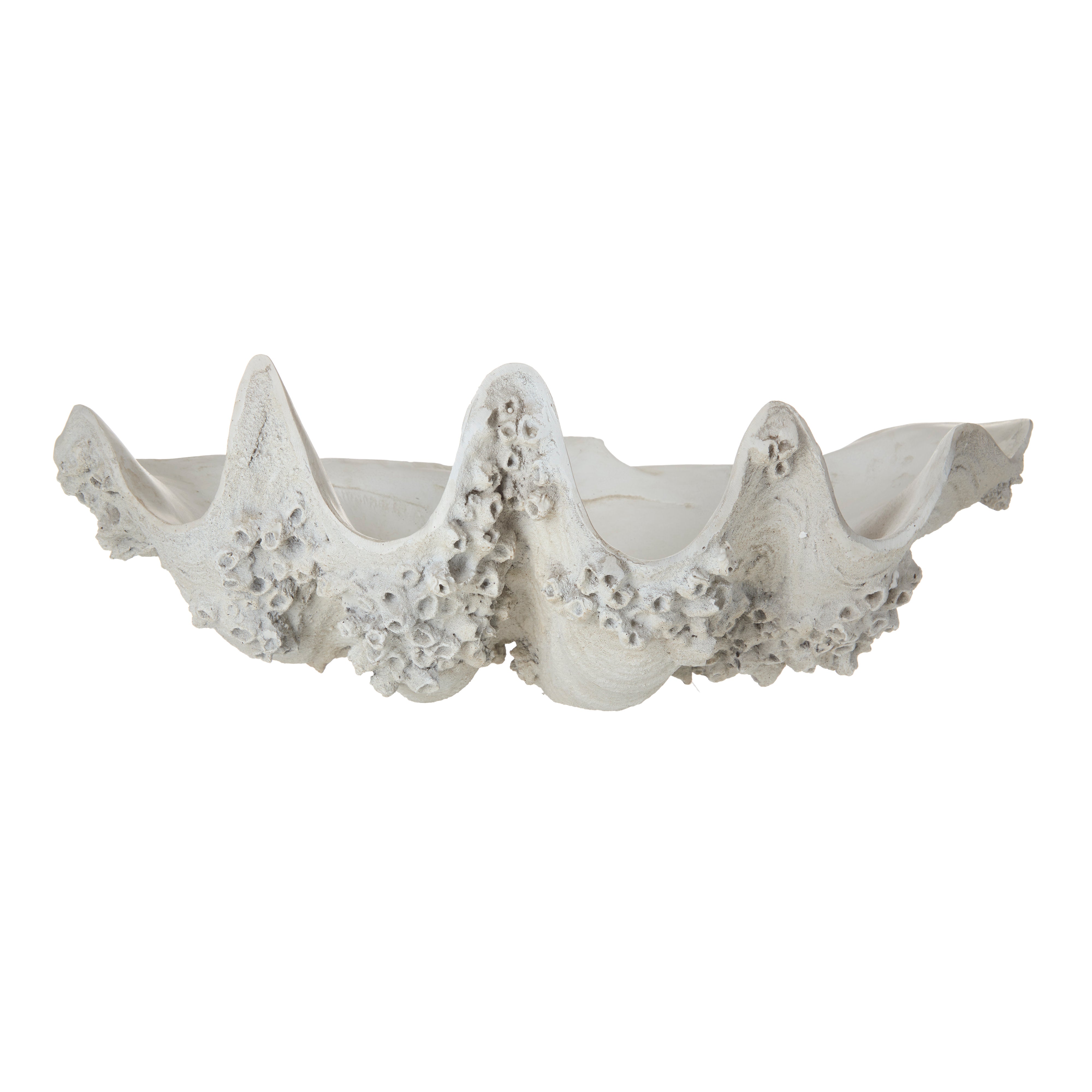 Rogue Seychelles Clam Vessel Antique White