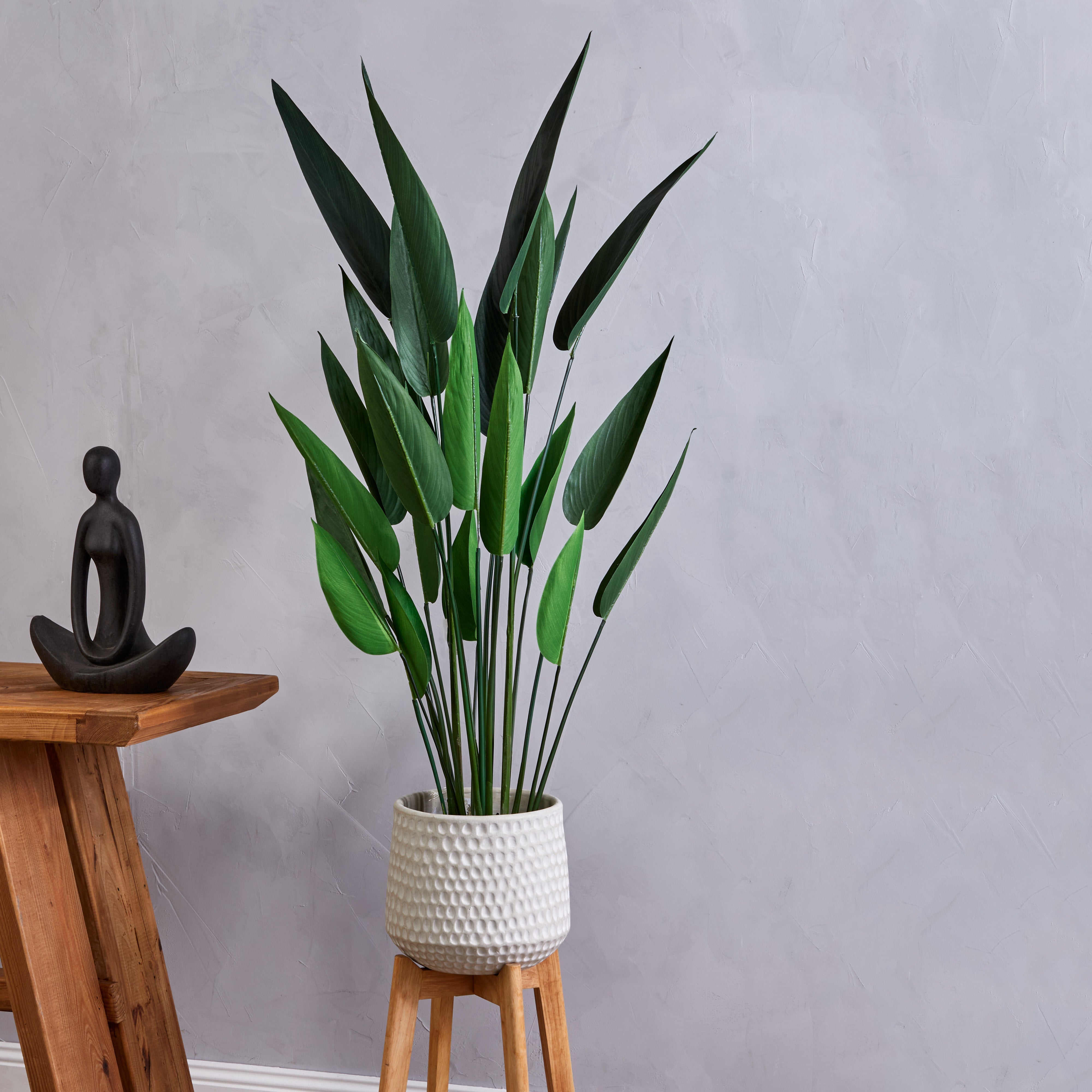 Rogue Sky Bird Plant 120cm