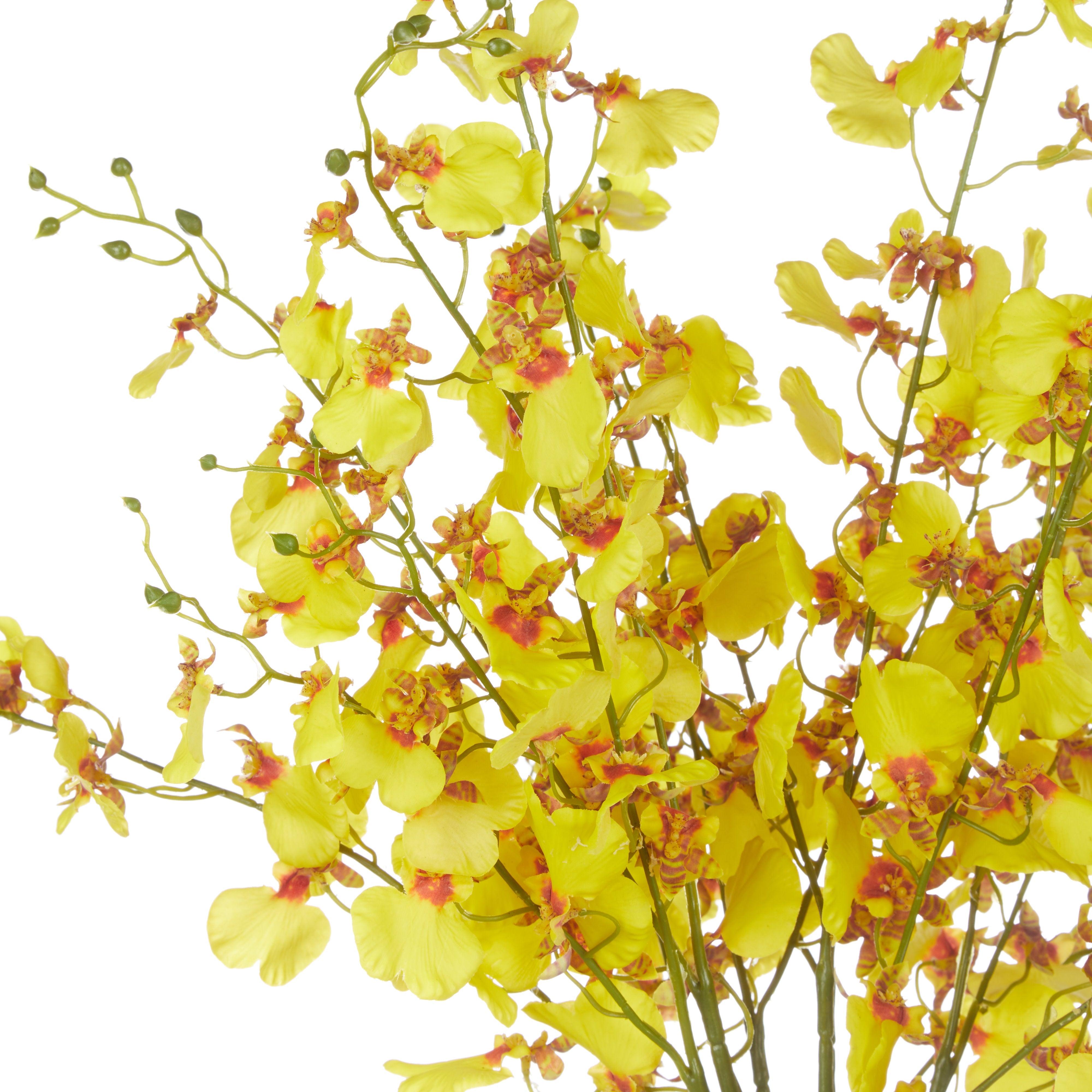 Rogue Dancing Orchid - Rachel Vase Yellow & Clear