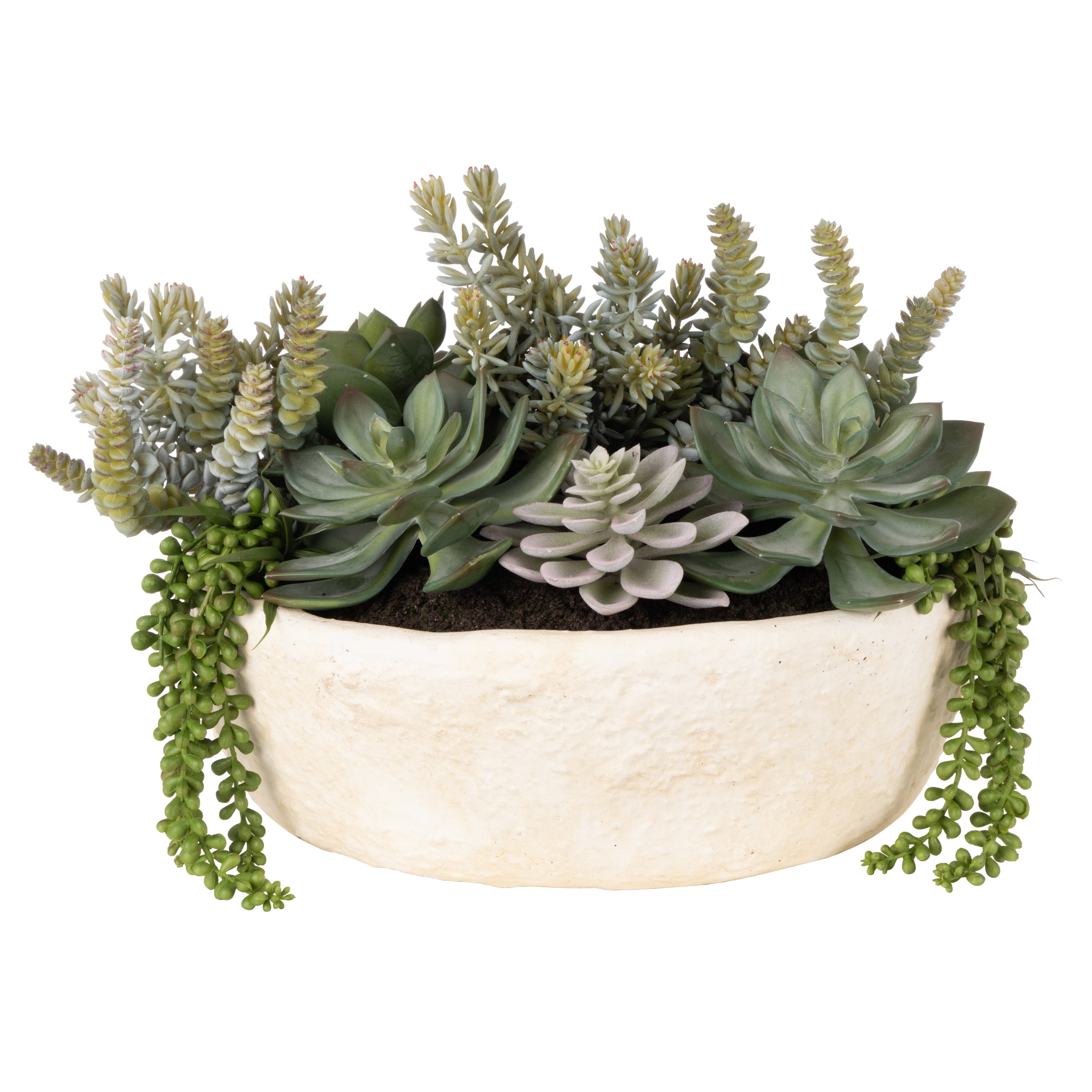 Rogue Succulent Garden - Textured Cement Pot