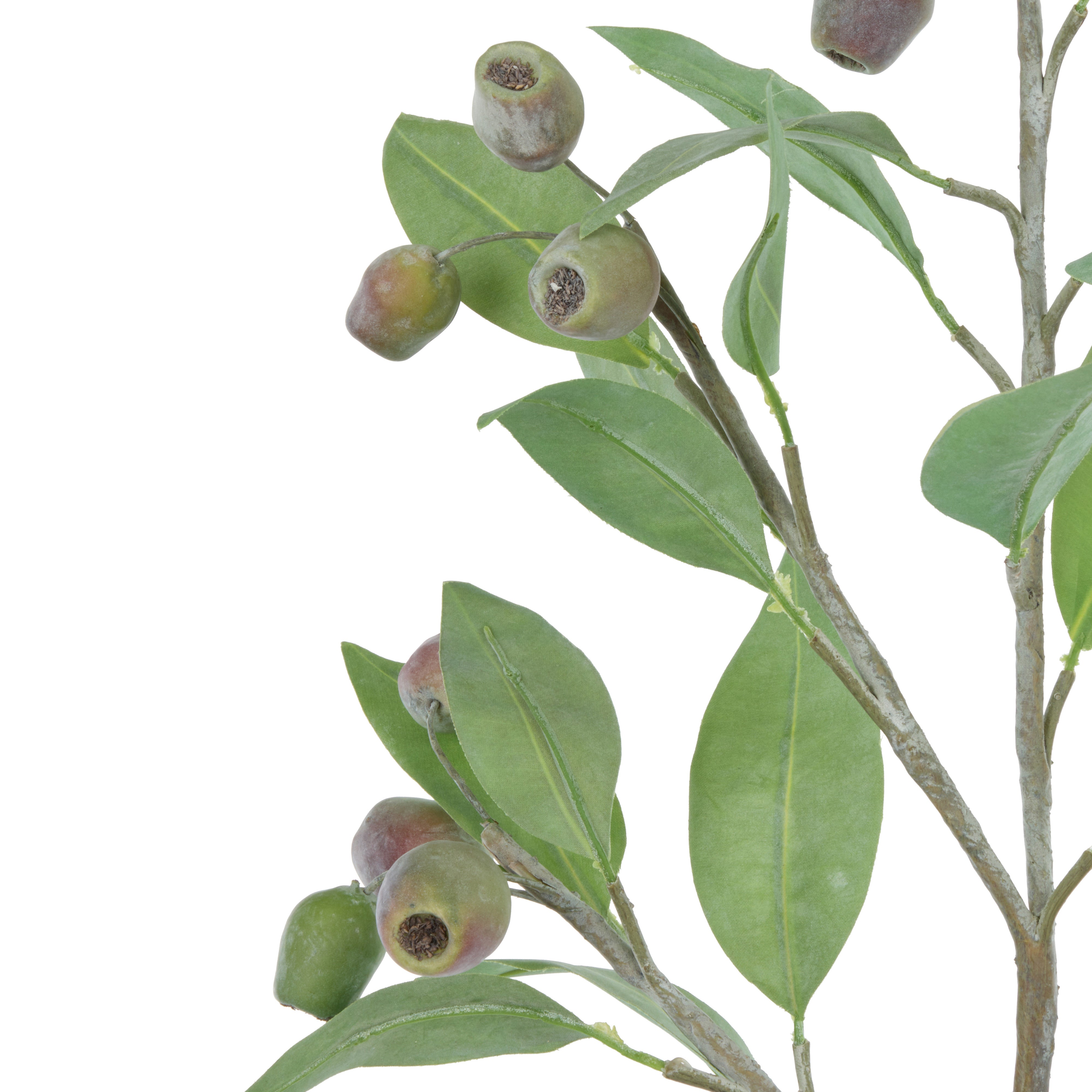 Rogue Eucalyptus Gumnut Spray 67cm