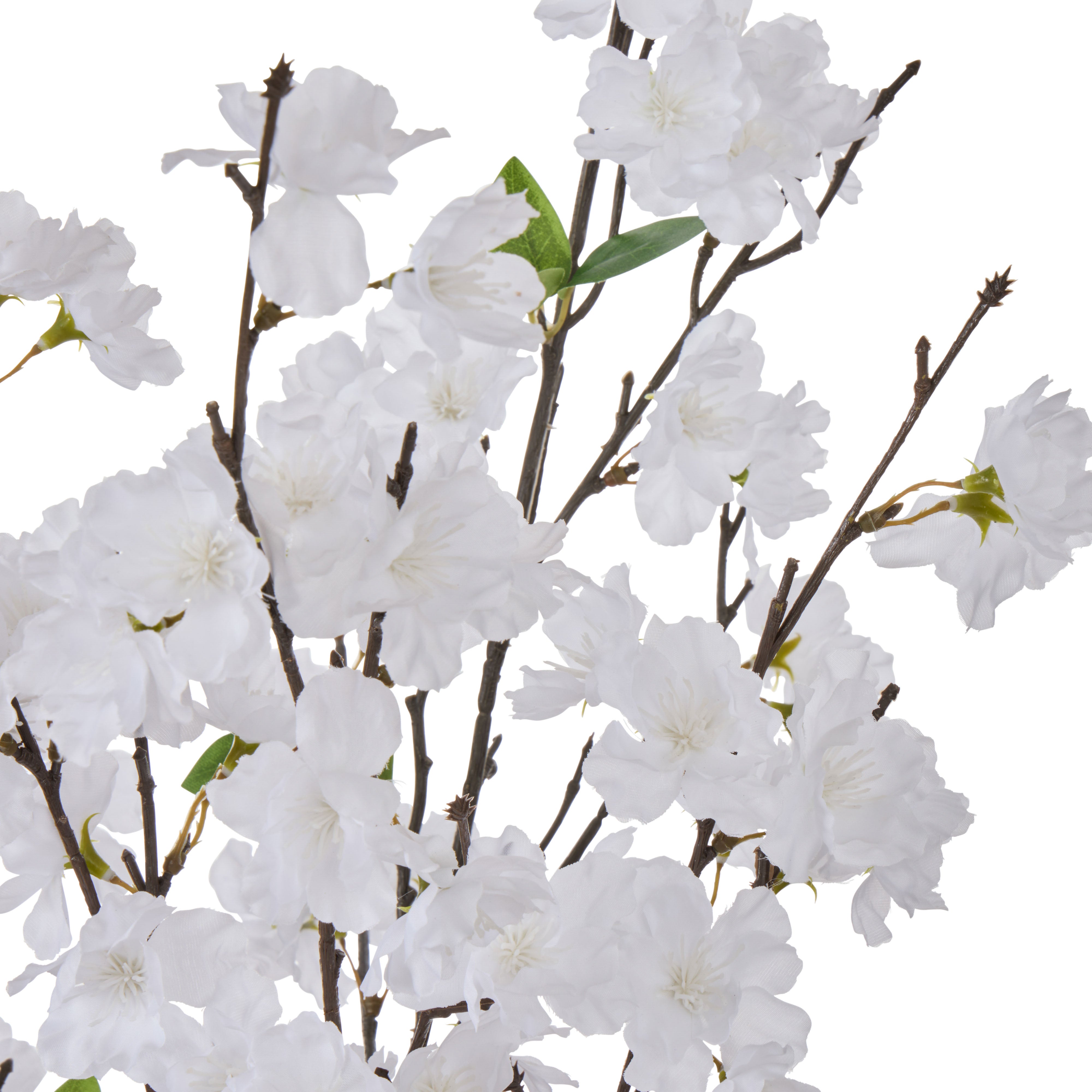 Rogue Cherry Blossom Alana Vase