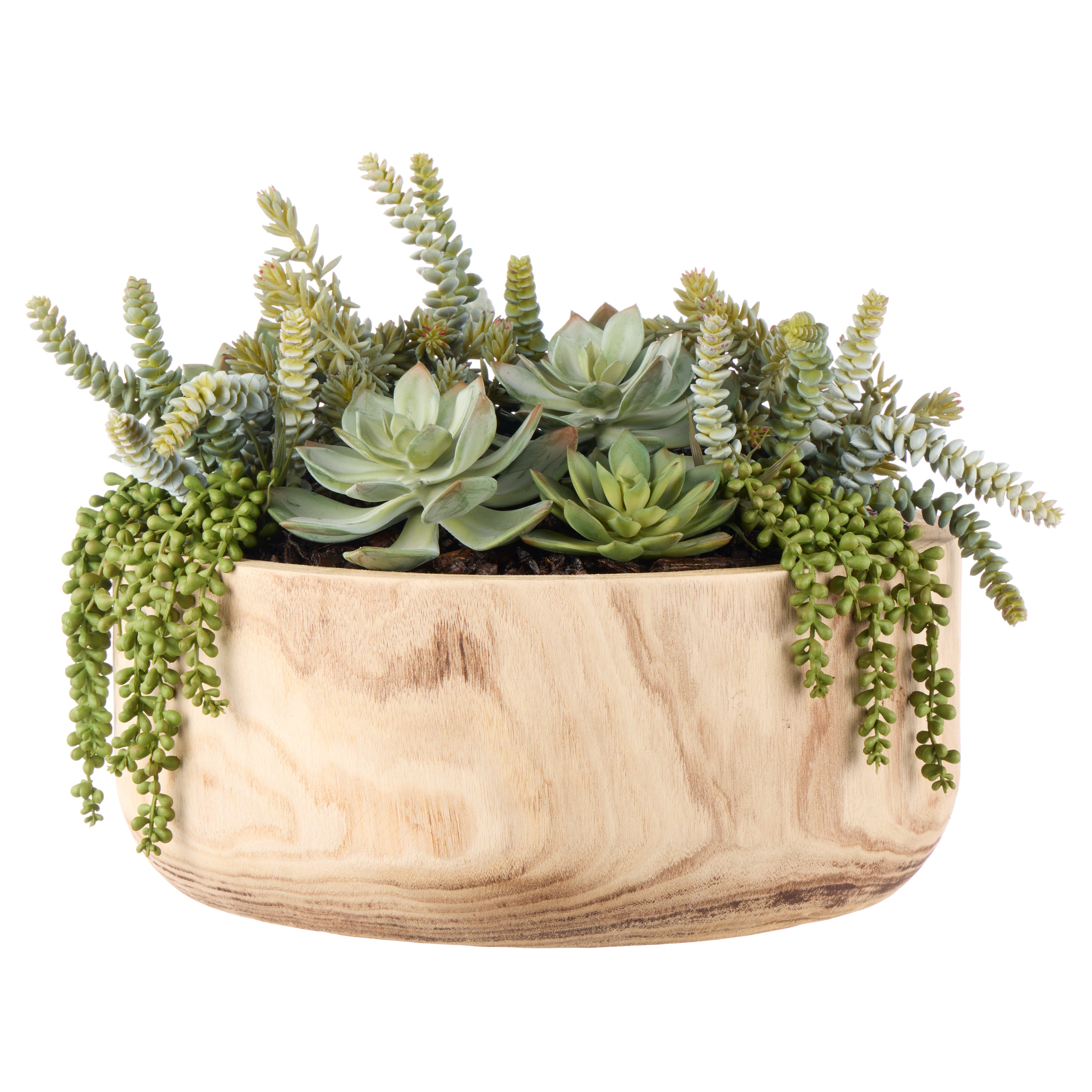 Rogue Succulent Garden - Dansk Bowl