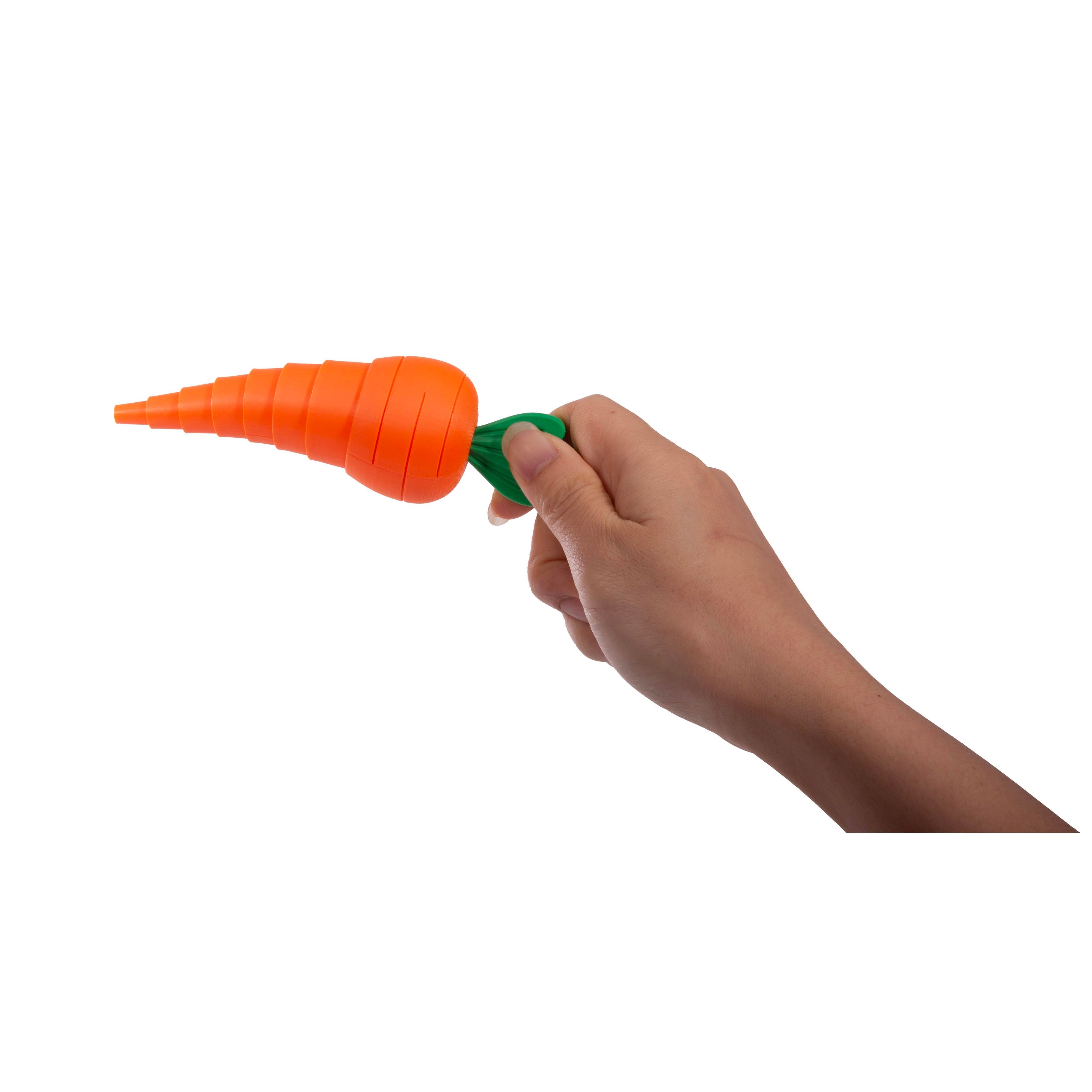 Discovery Zone 3D Sensory Carrot