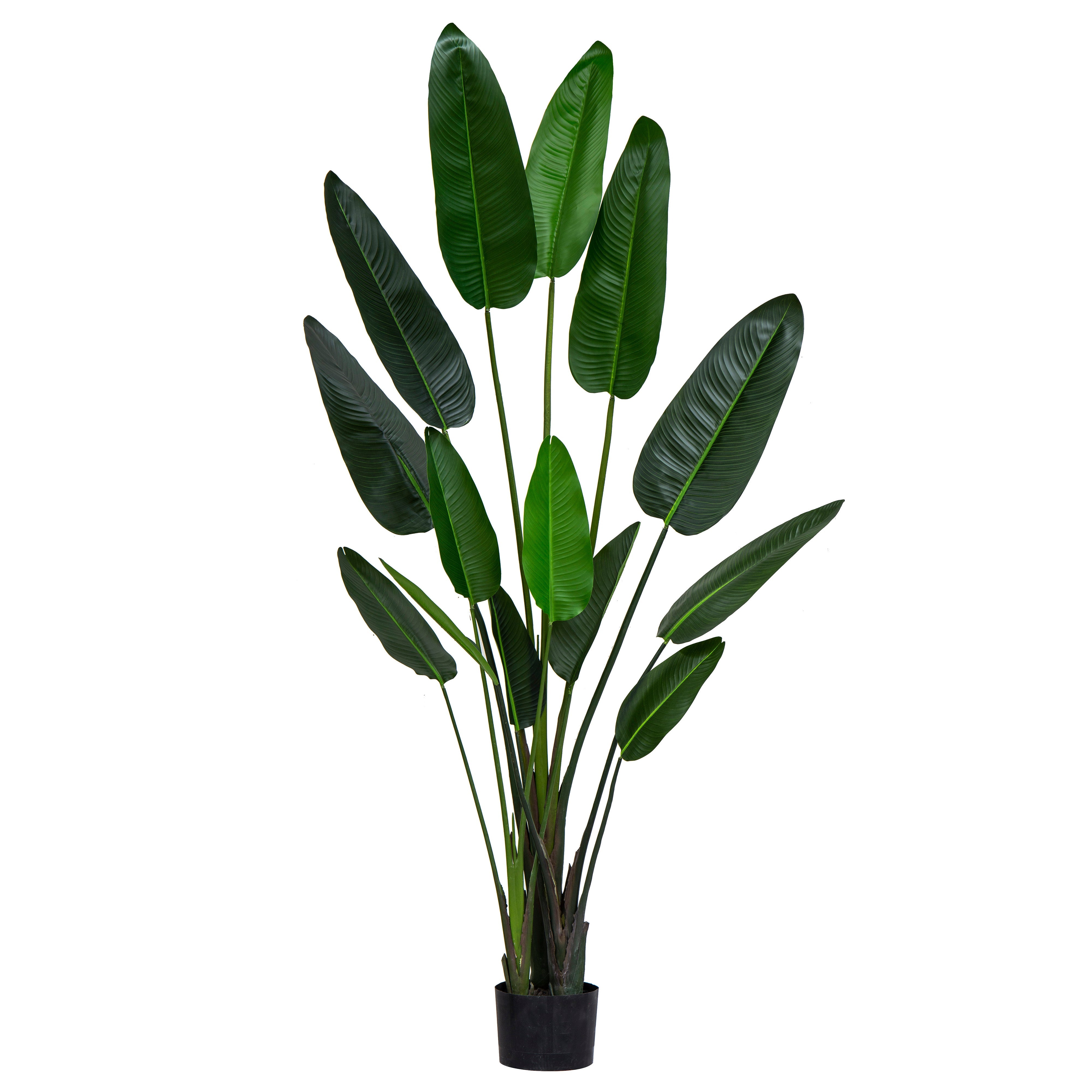 Rogue Giant Bird of Paradise Plant Real Touch 300cm