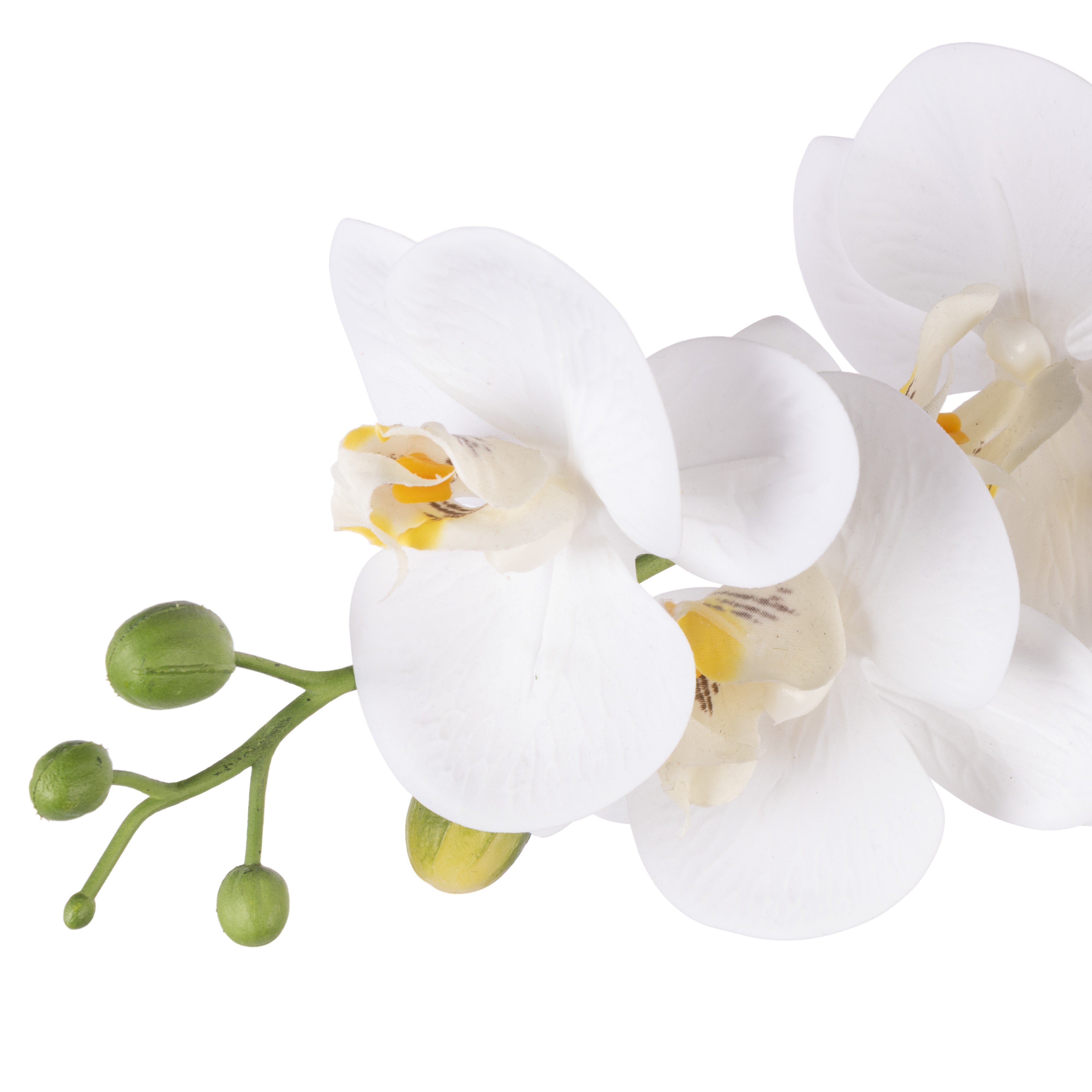 Rogue Phalaenopsis Orchid - Textured Round Pot 56cm