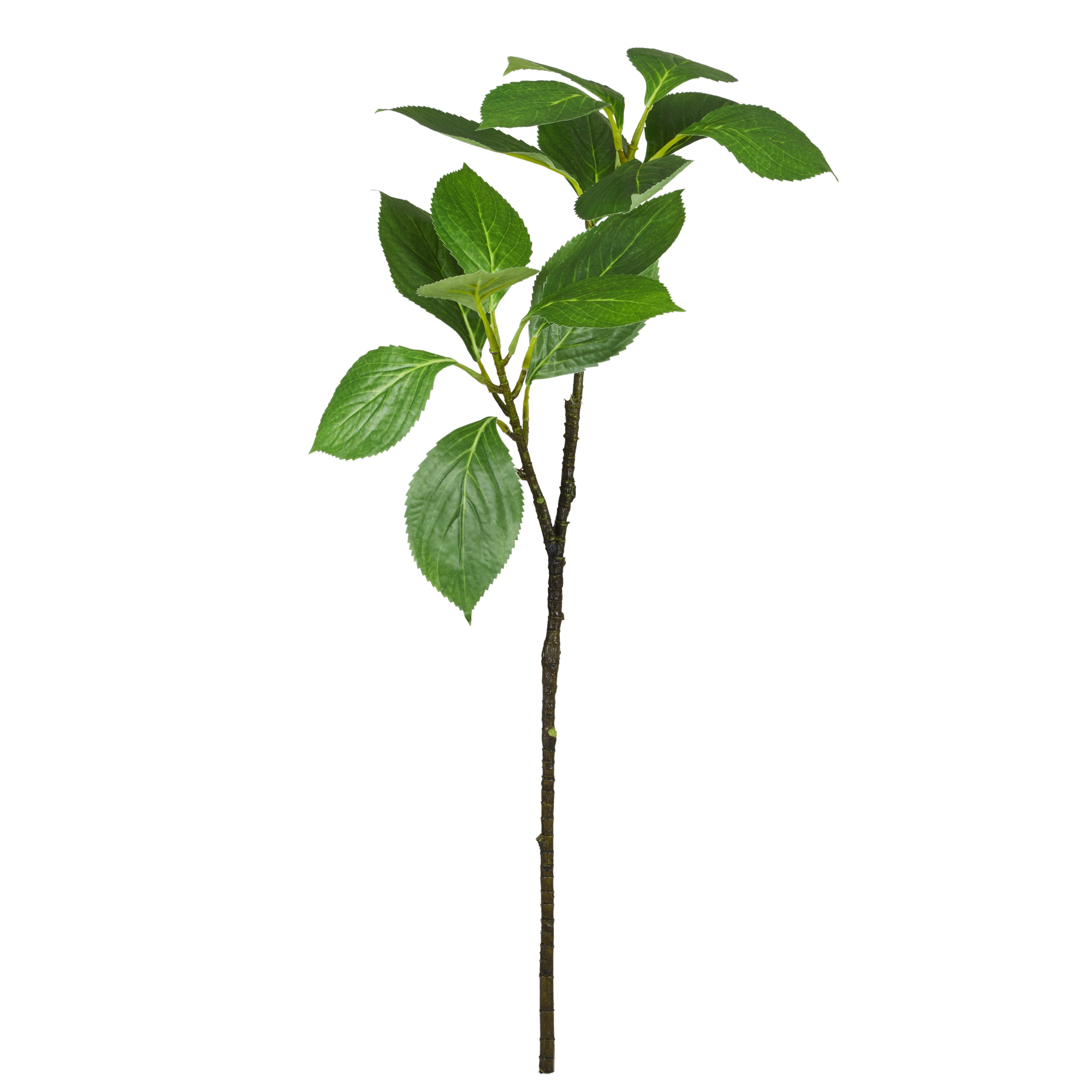 Rogue Vivid Leaf Spray