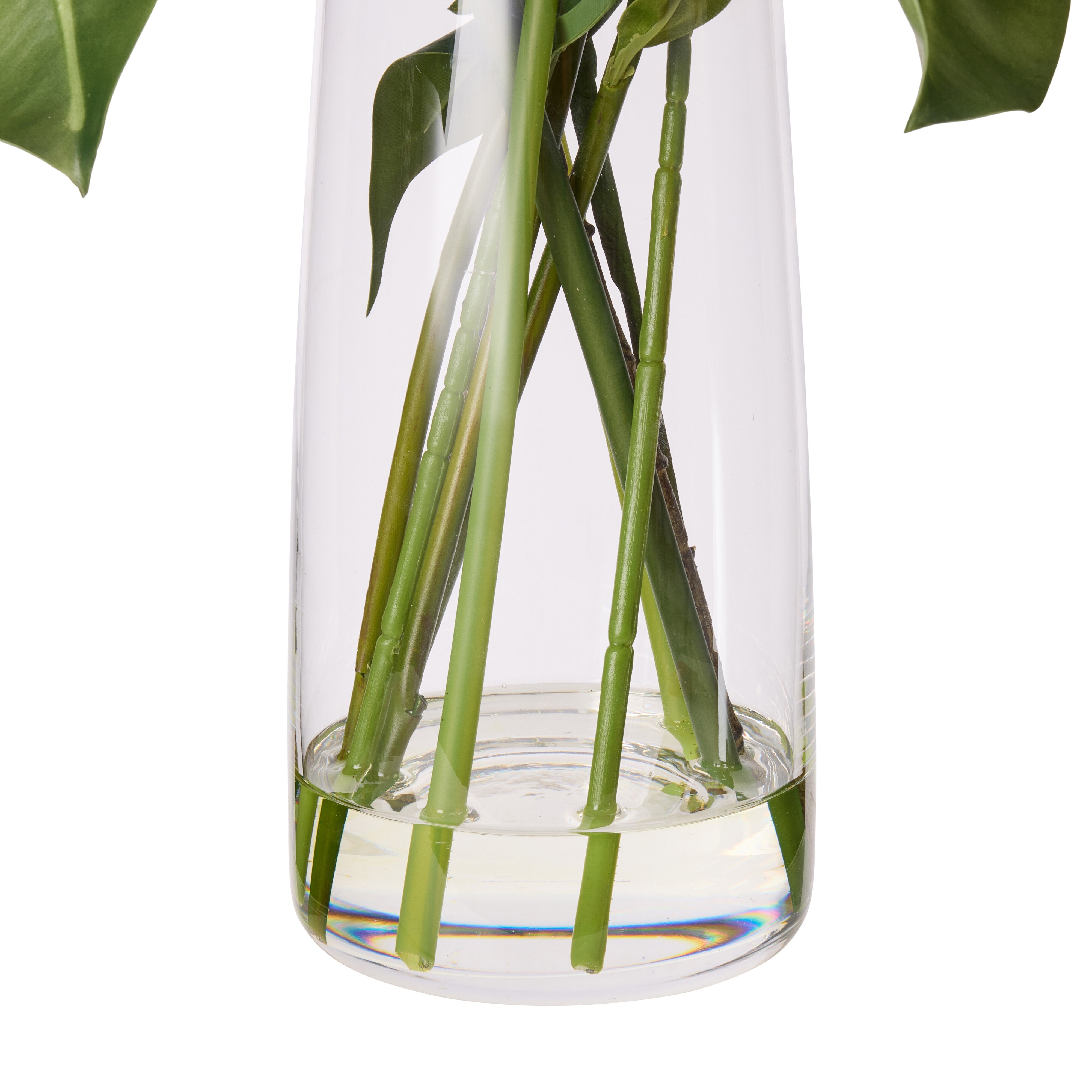 Rogue Lily Rubber Tree Mix - Alana Vase Pink & Green