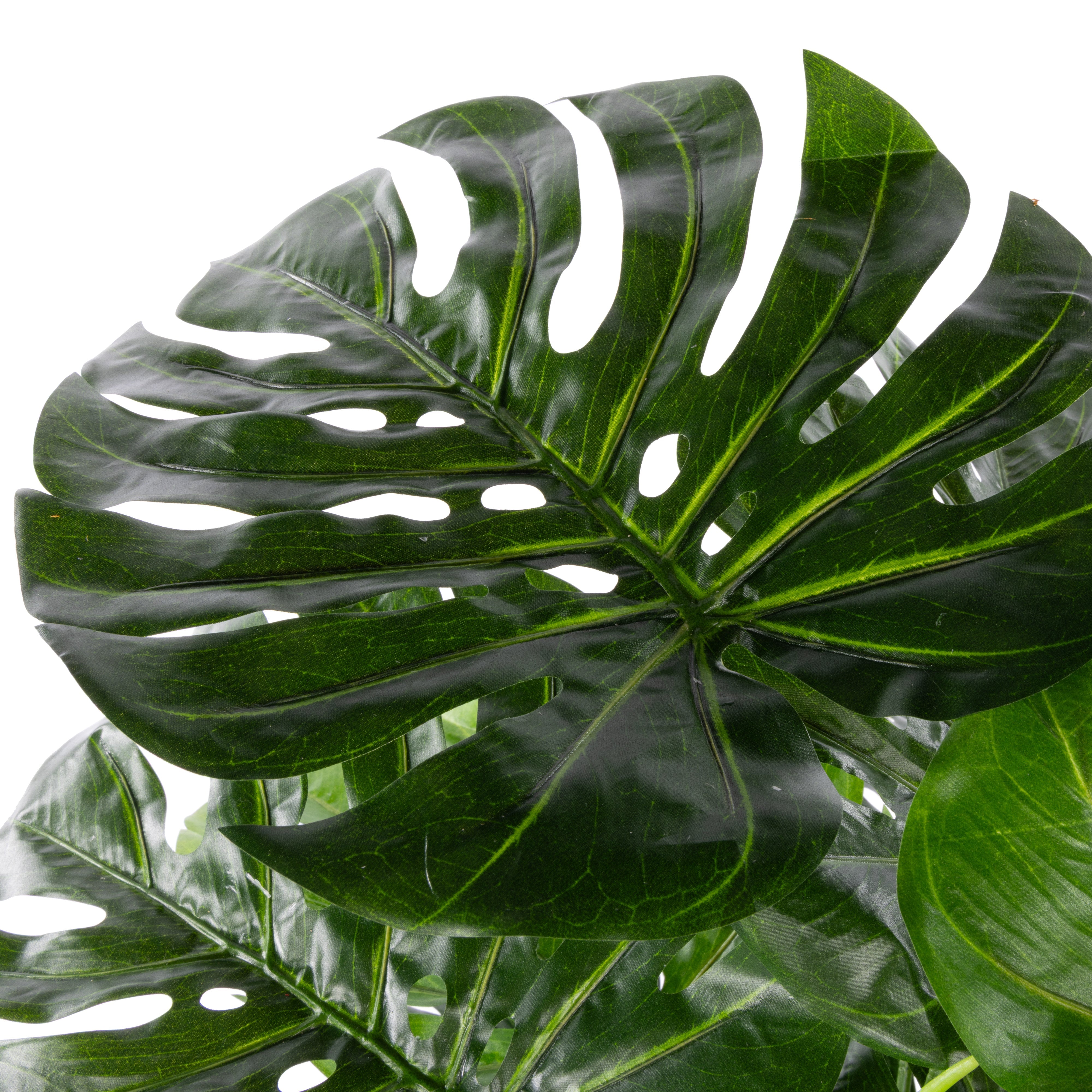 Rogue Monstera UV - Garden Pot 140cm