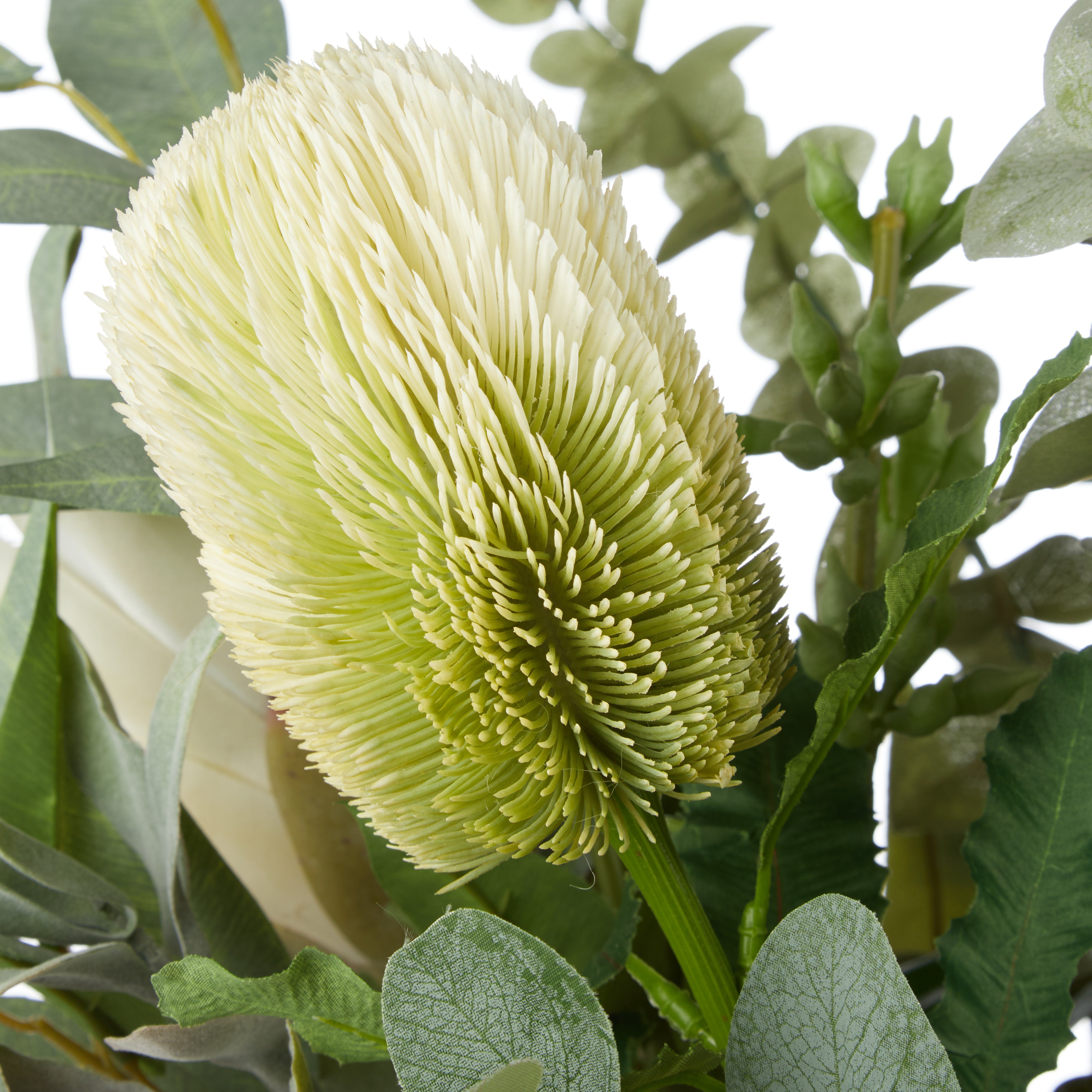 Rogue Australis Protea Eucalyptus Mix - Maliah Pot White 76cm