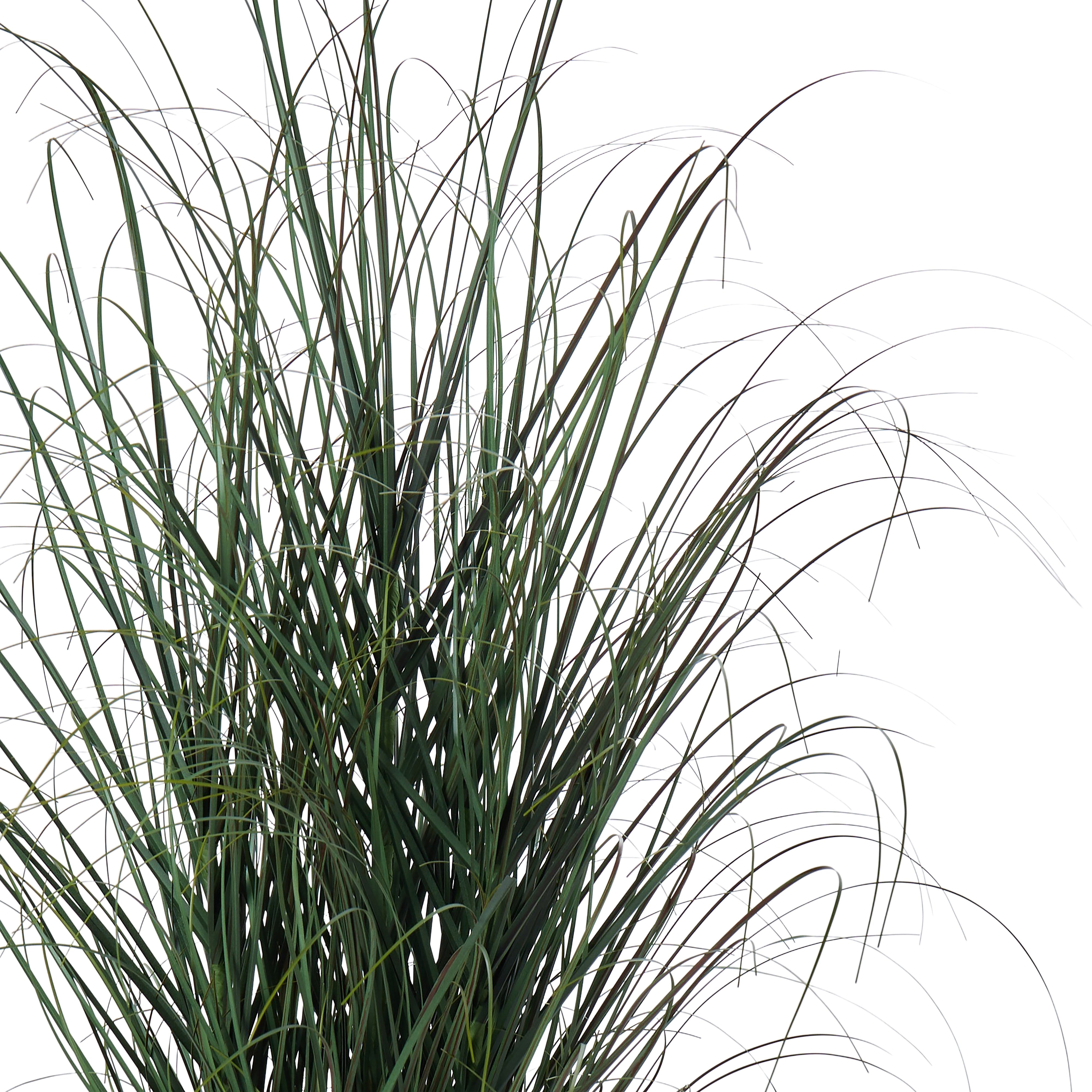 Rogue Grass Plant - Garden Pot Green 90cm