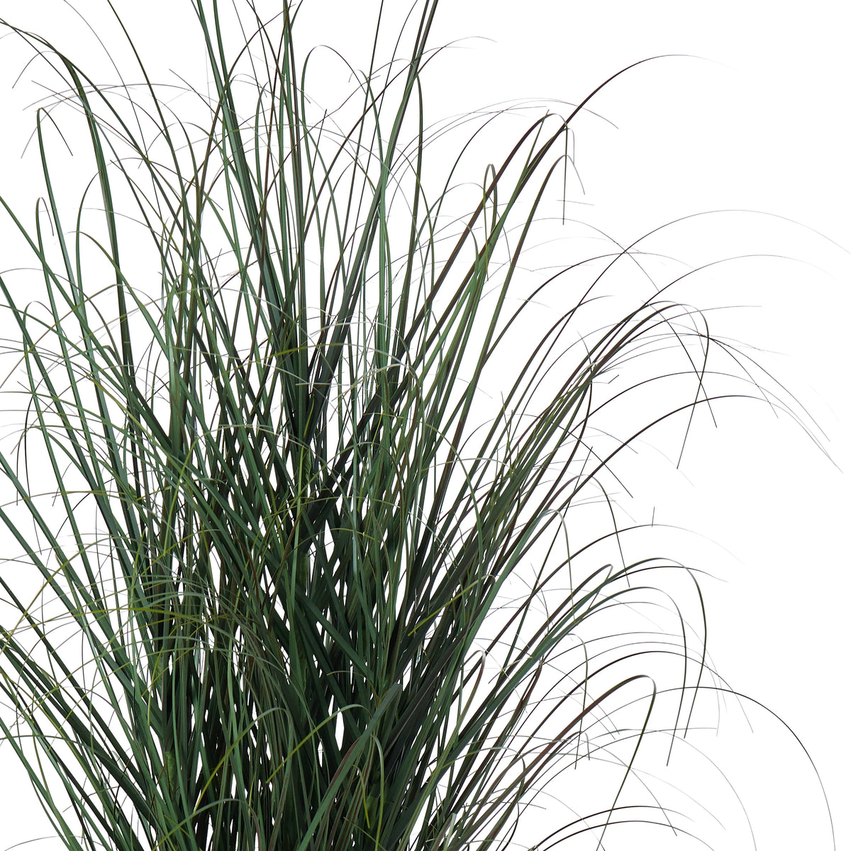 Rogue Grass Plant - Garden Pot Green 90cm