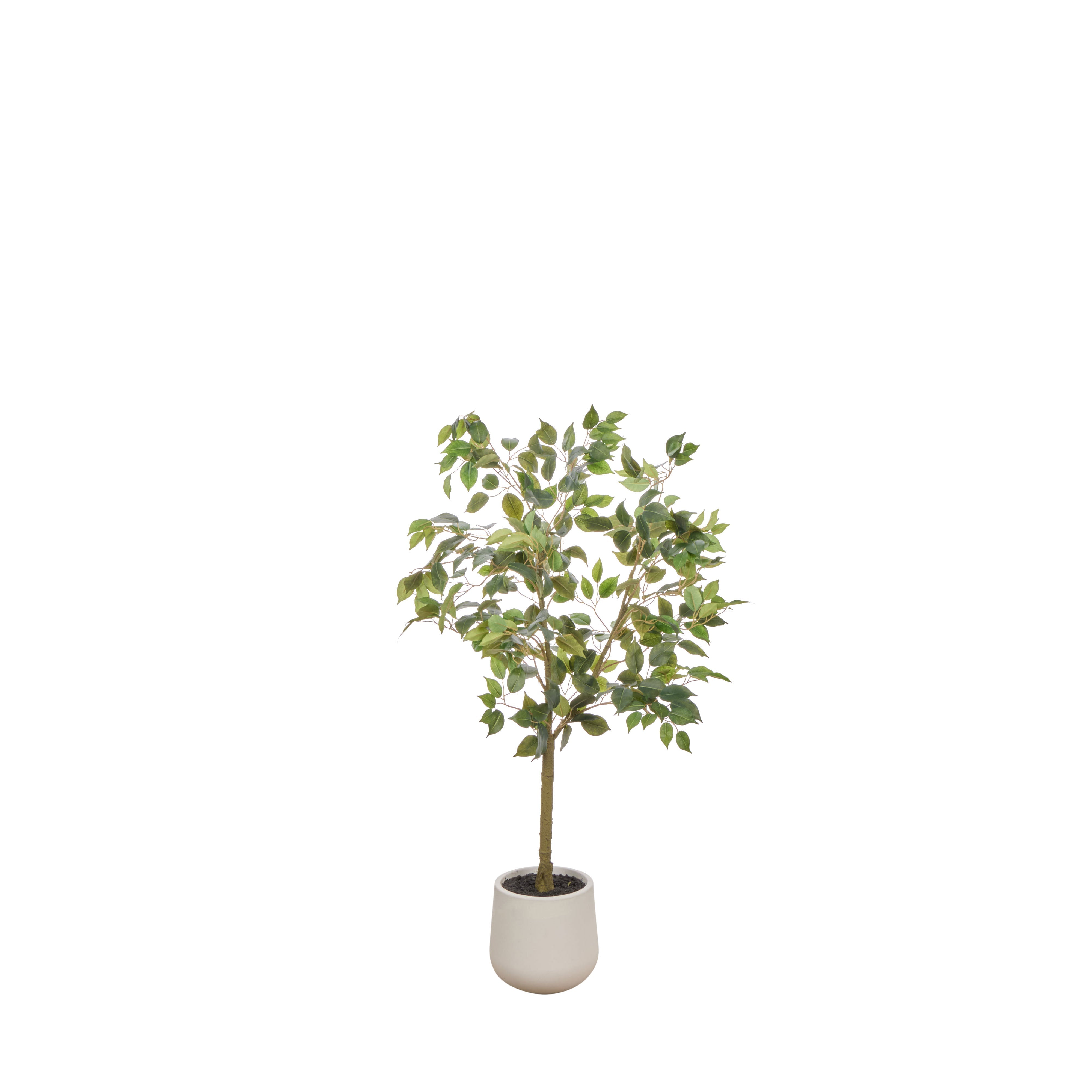 Rogue Ficus Tree Pot Green 120cm