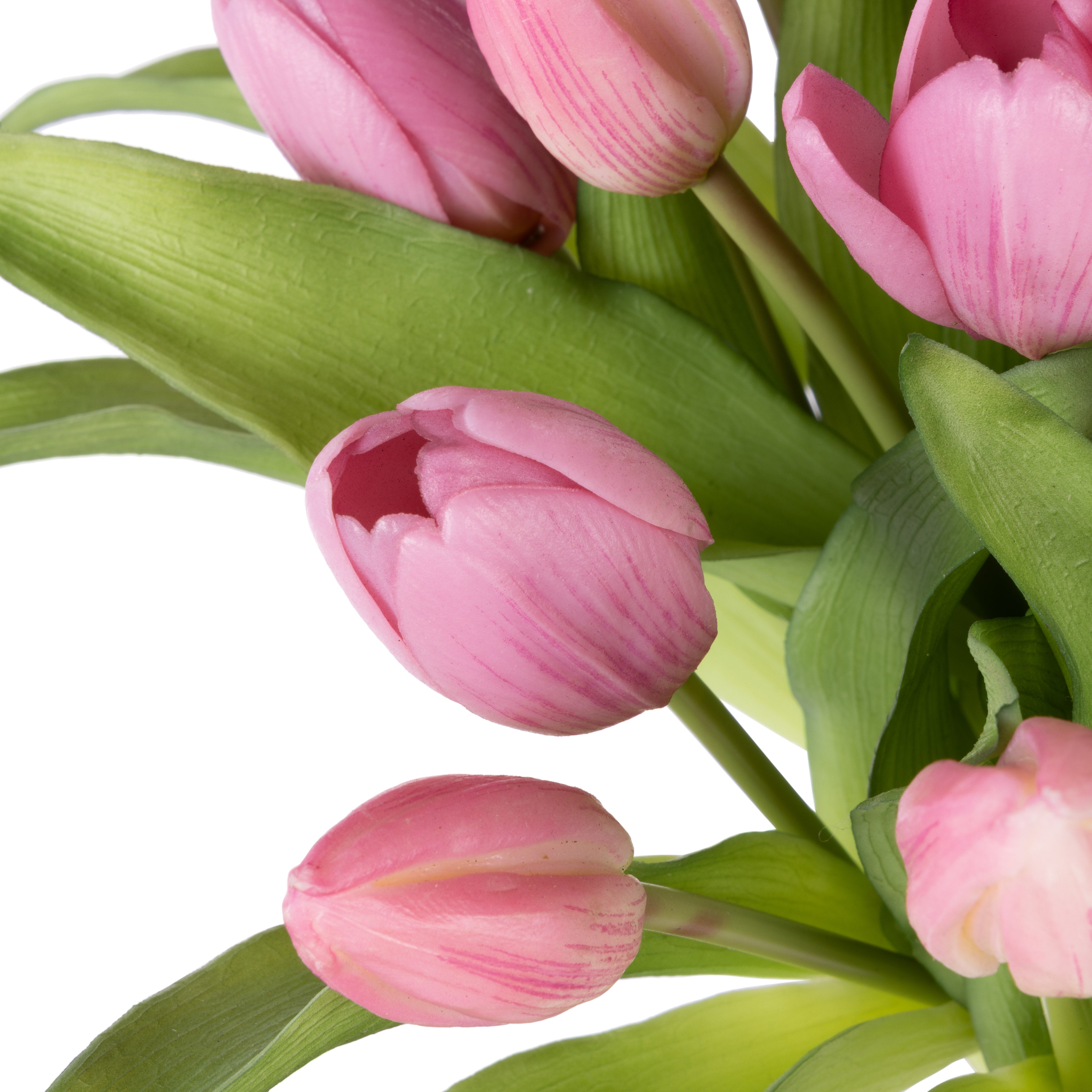 Rogue Tulip Bunch - Phoebe Vase Pink