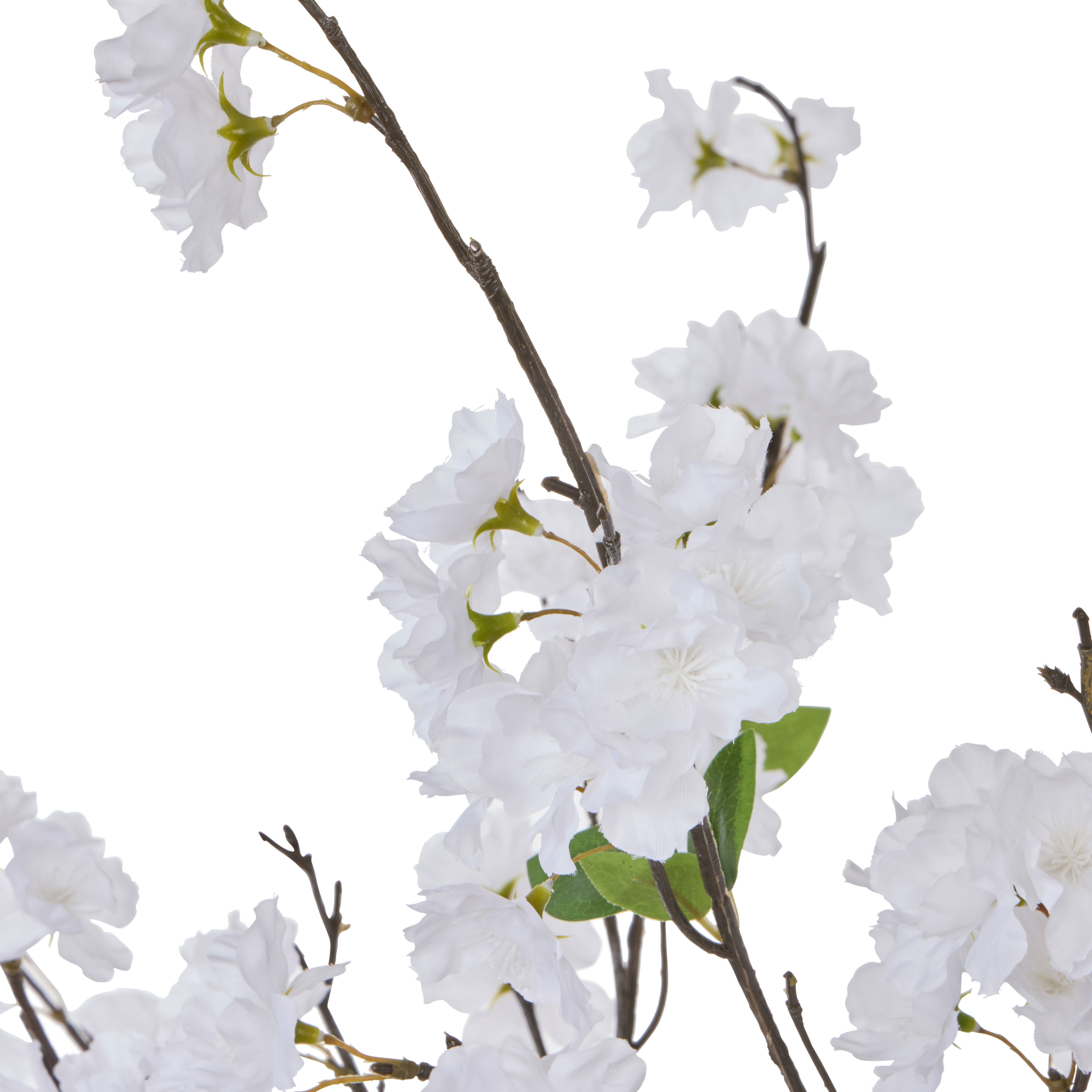 Rogue Cherry Blossom Alana Vase