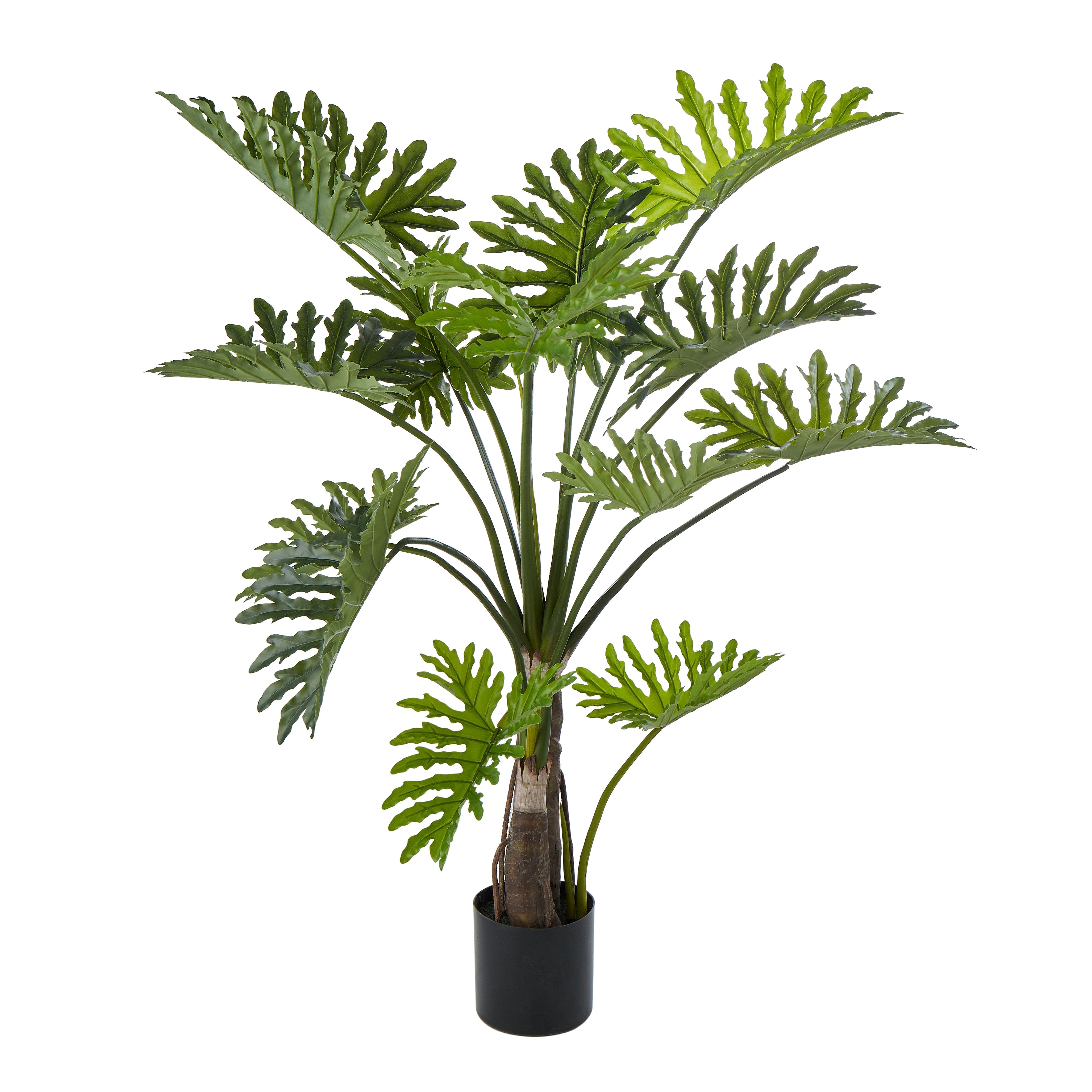 Rogue Lacy Philodendron Tree 150cm