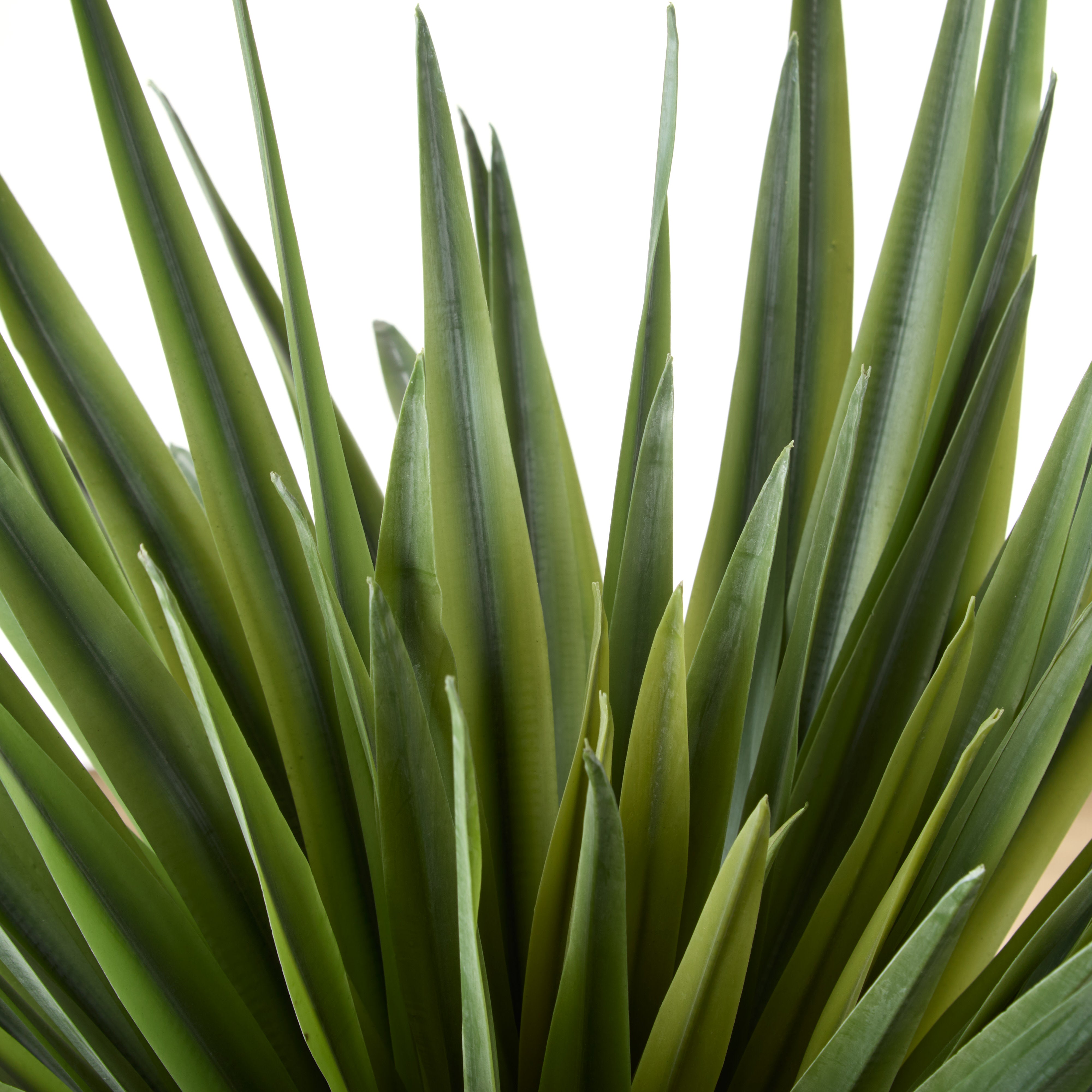 Rogue Sisal Plant UV 68cm