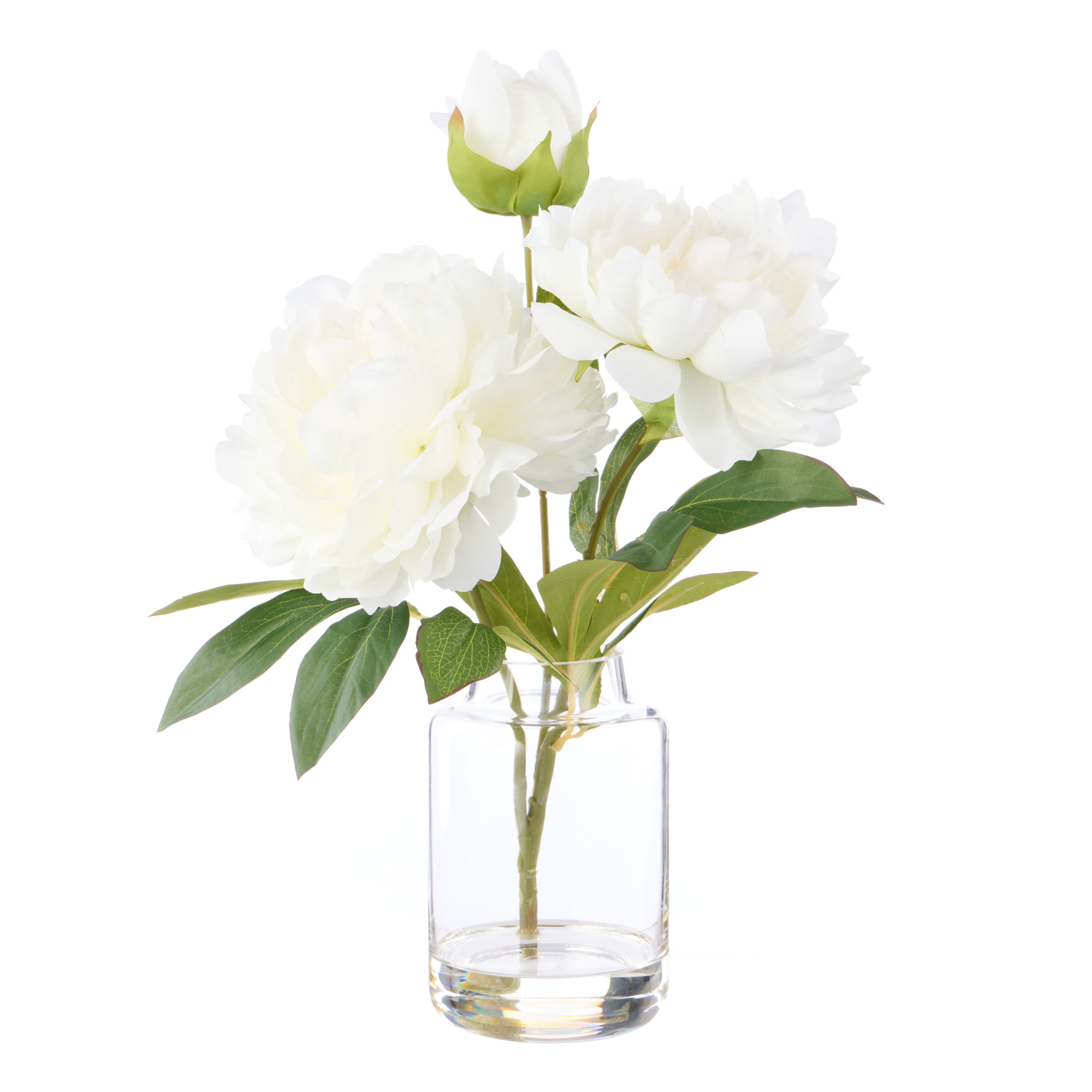 Rogue Peony Stem - Pauline Vase