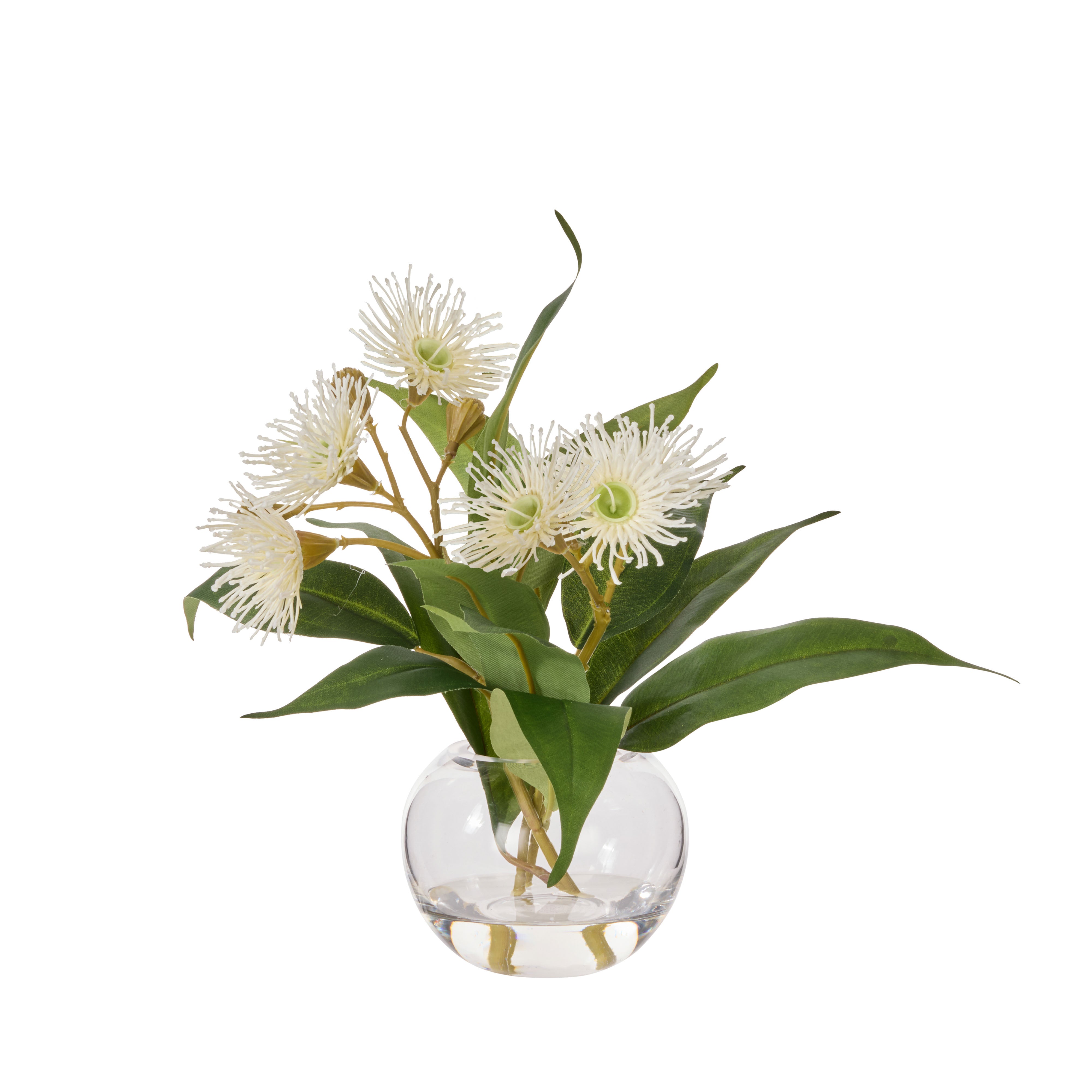 Rogue Flowering Eucalyptus - Sphere White & Green