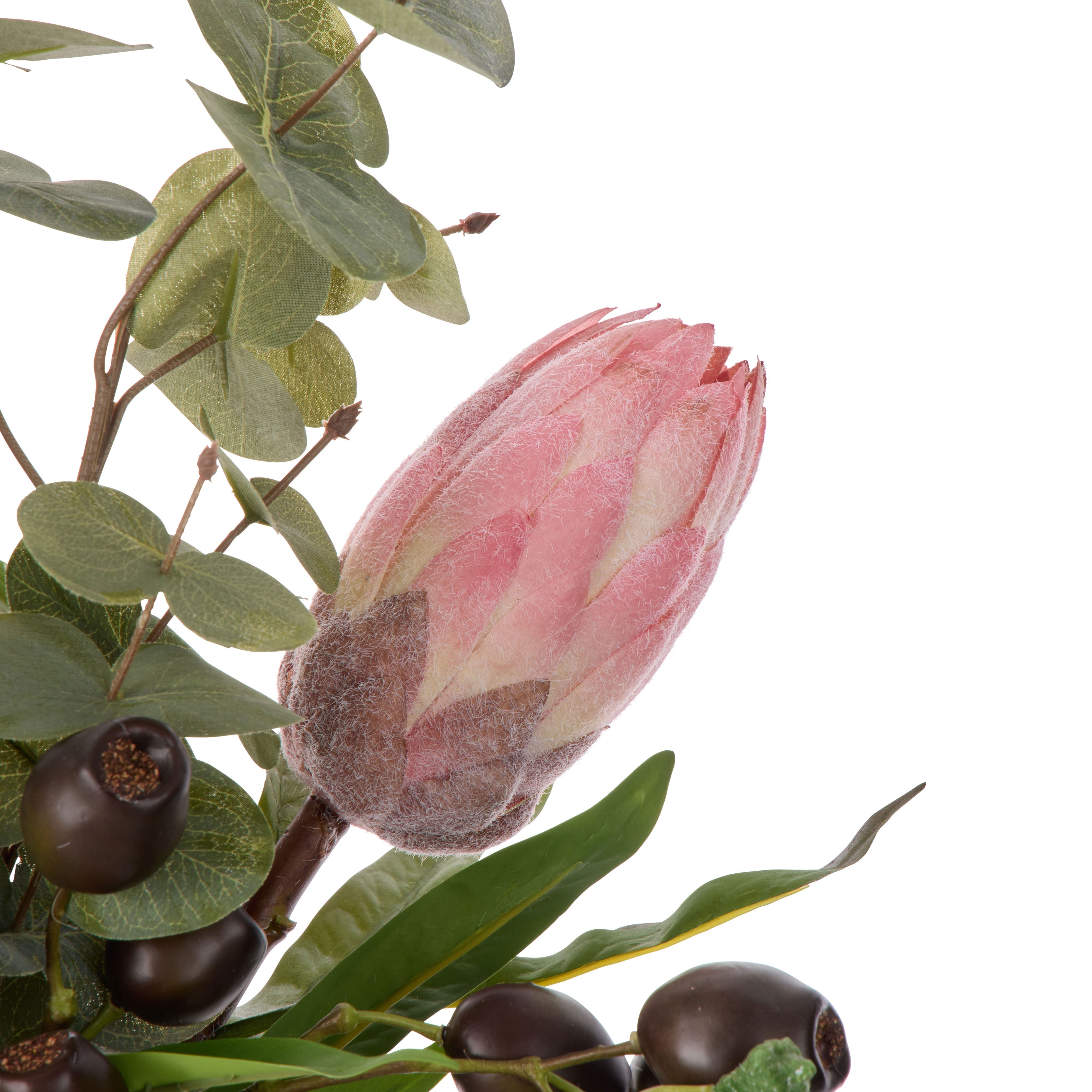 Rogue Protea Seeding Mix - Rachel Rust & Green