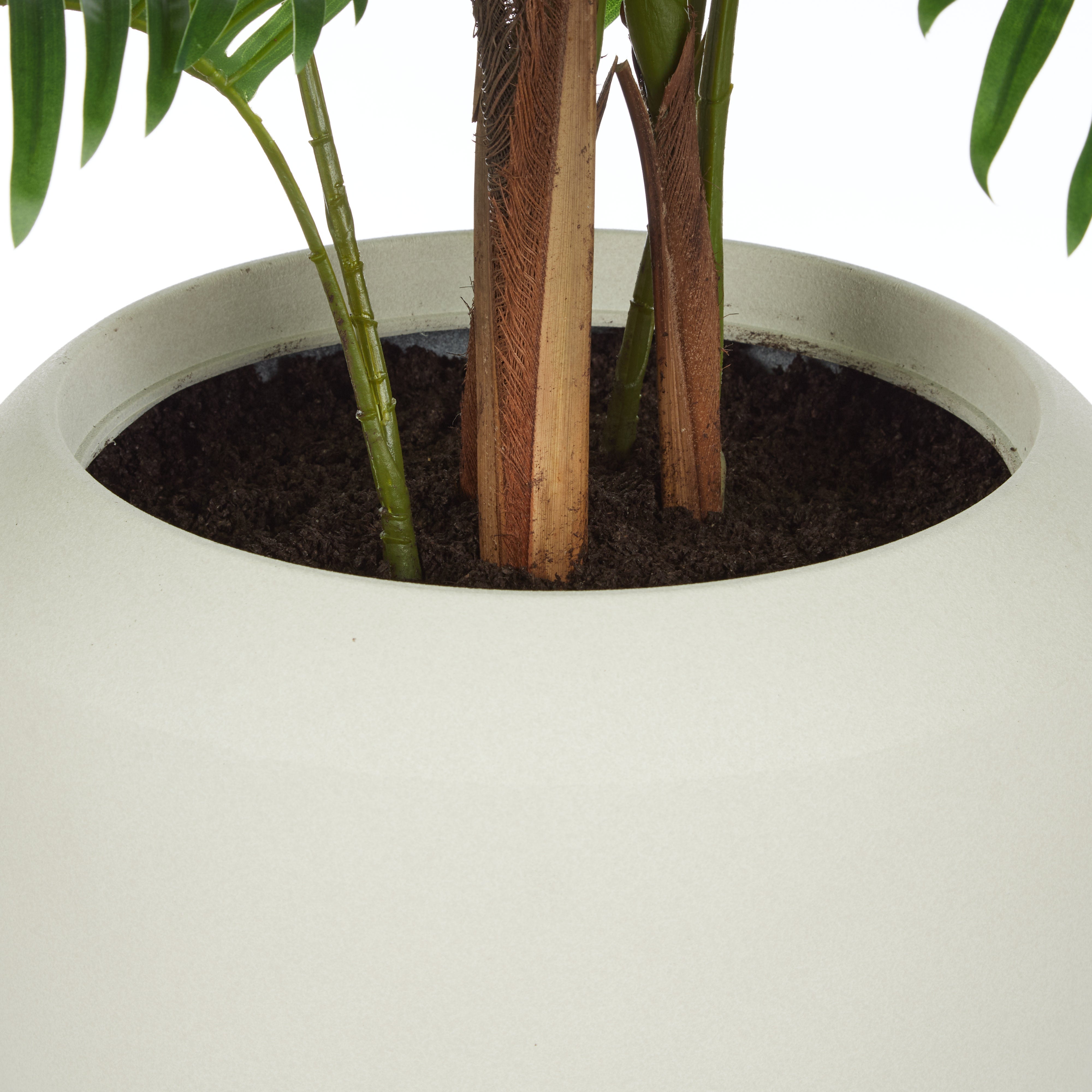 Rogue Areca Palm Tree - Vienna Planter 140cm
