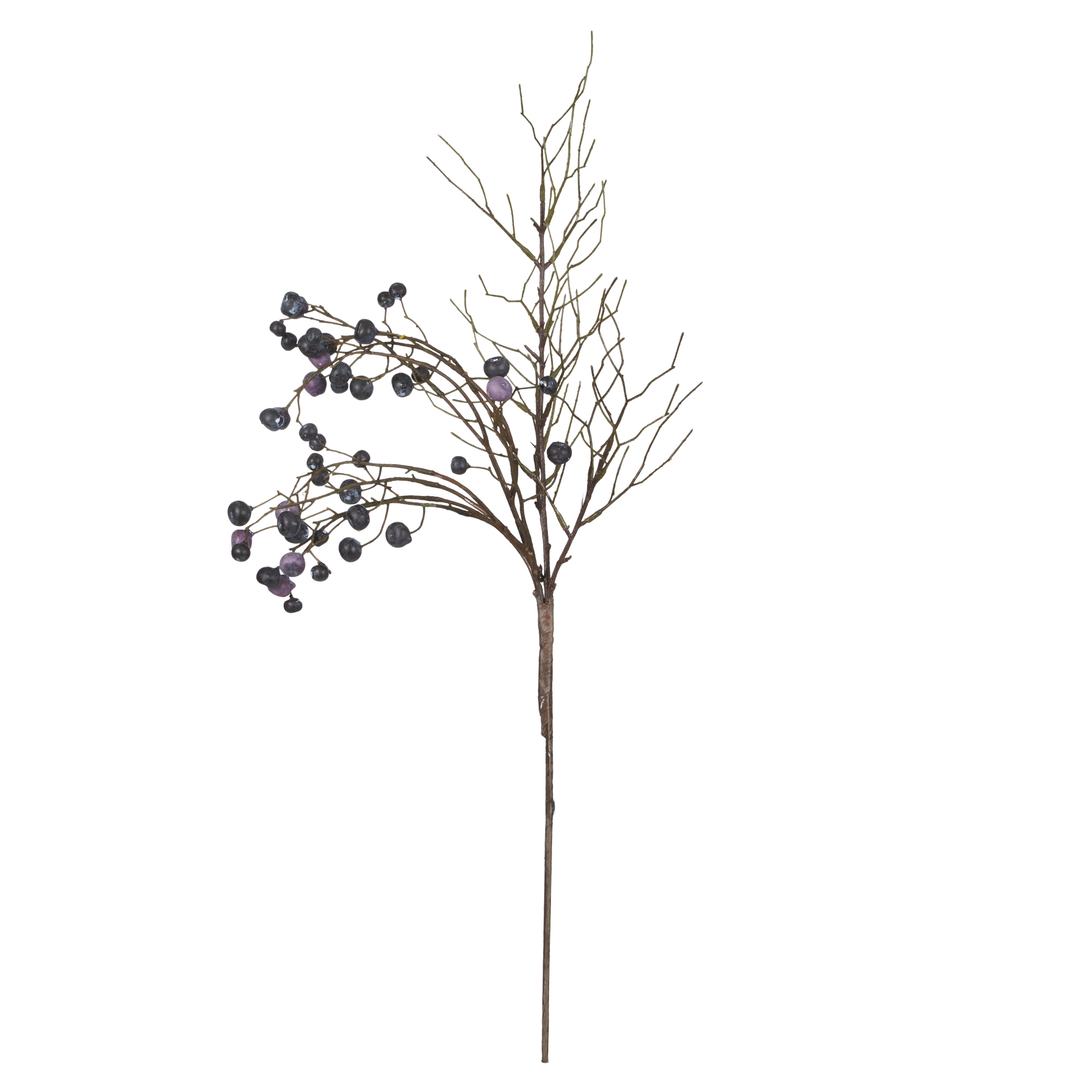 Rogue Wild Berry Spray 10cm