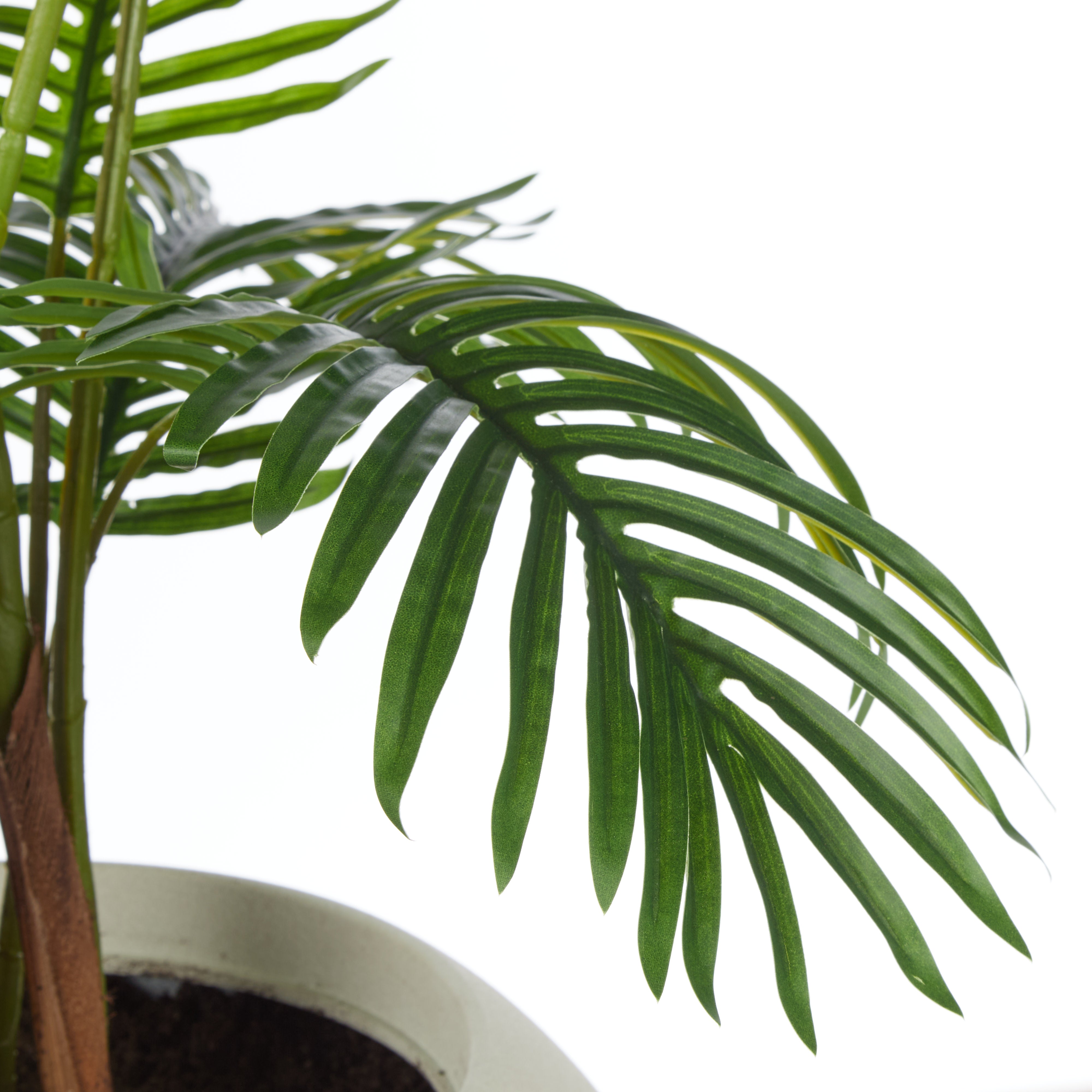 Rogue Areca Palm Tree - Vienna Planter 140cm