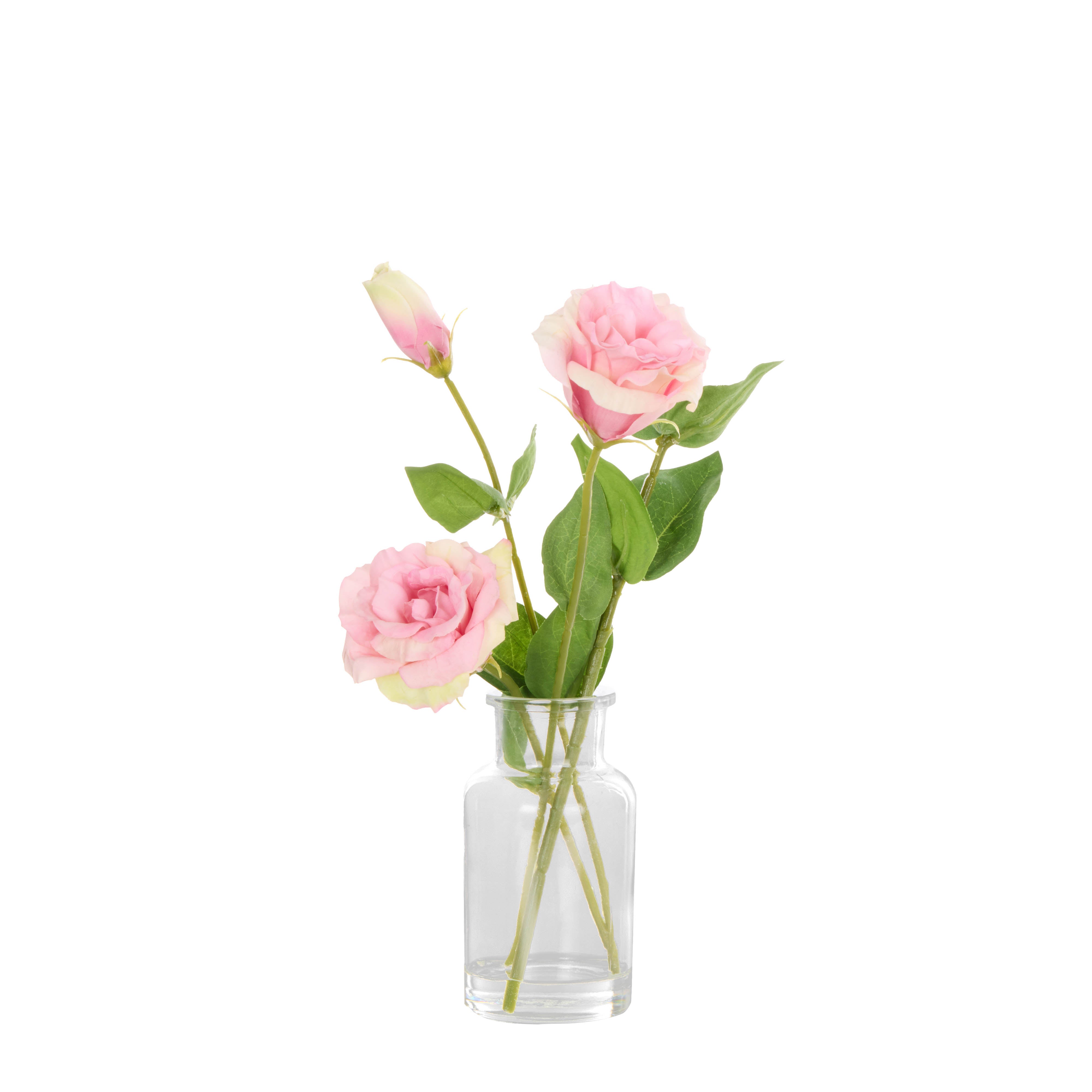 Rogue Lisianthus - Specimen Glass Vase Pink
